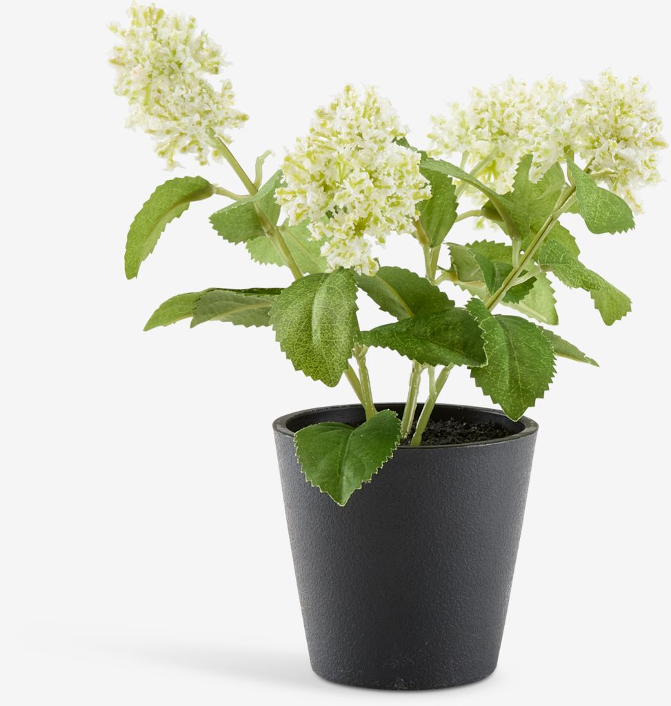 Artificial plant DANIEL D10xH22cm with pot - Amazon