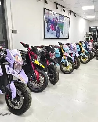 🔥Clearance sale Last five days🔥 – Lithium Battery Electric Motorcycle - Amazon