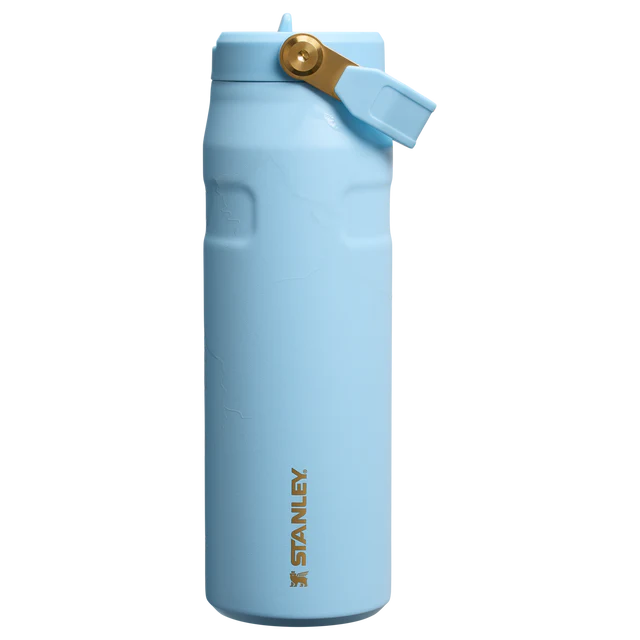 The Stanley Clutch Bottle | 16 OZ
