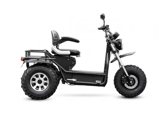 All Terrain Off Road Mobility Scooter 80km Battery Life【Free three-year warranty】 - Amazon