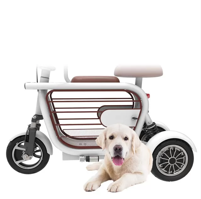 💥Clearance Sale💥2025 new 400W long range electric bike 3 wheeler - Amazon