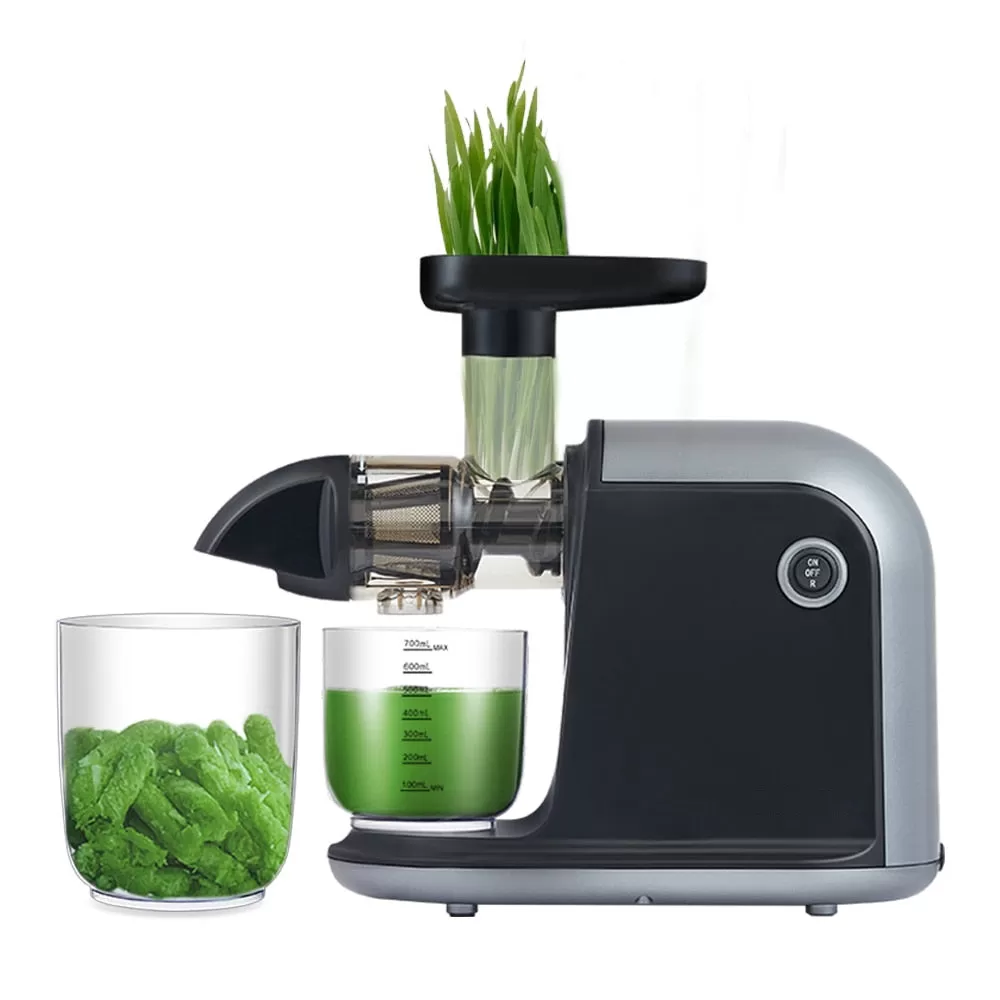 Slow Masticating Auger Juicer - Amazon