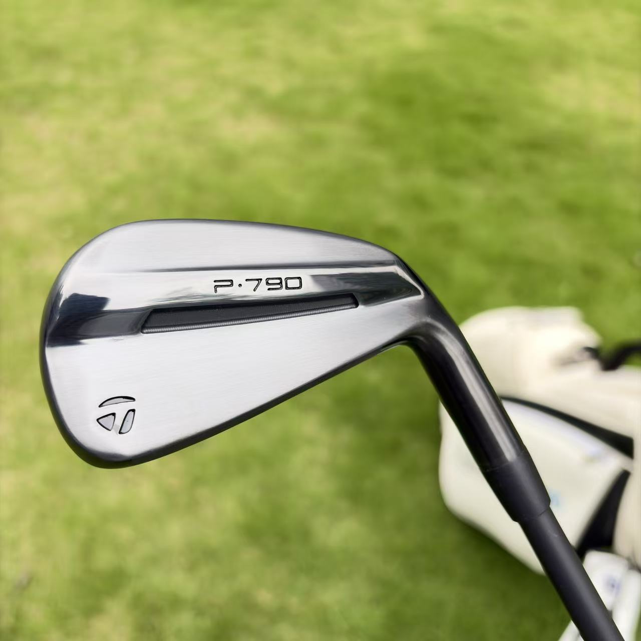 Taylormade P790-2025 Black irons