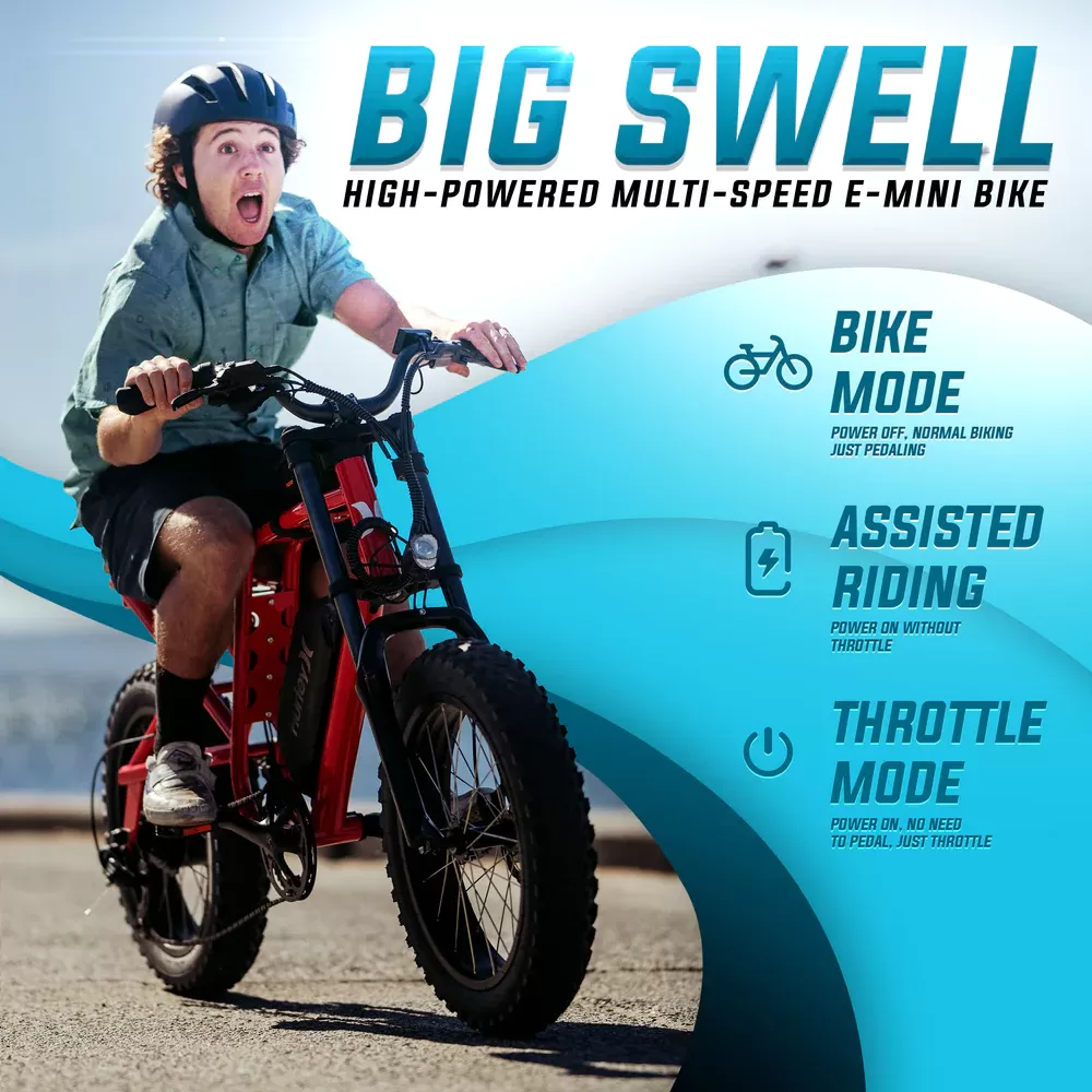 Ebiketurbo X Nike Joint Cooperation 48V 15Ah 1000W Motor 8-speed transmission shifter - Amazon