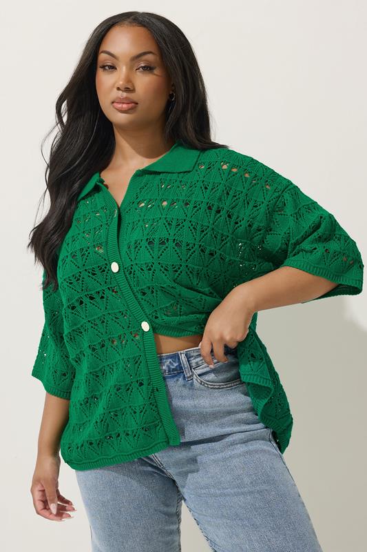 Limited Collection LIMITED COLLECTION Curve Green Button Through Crochet Shirt