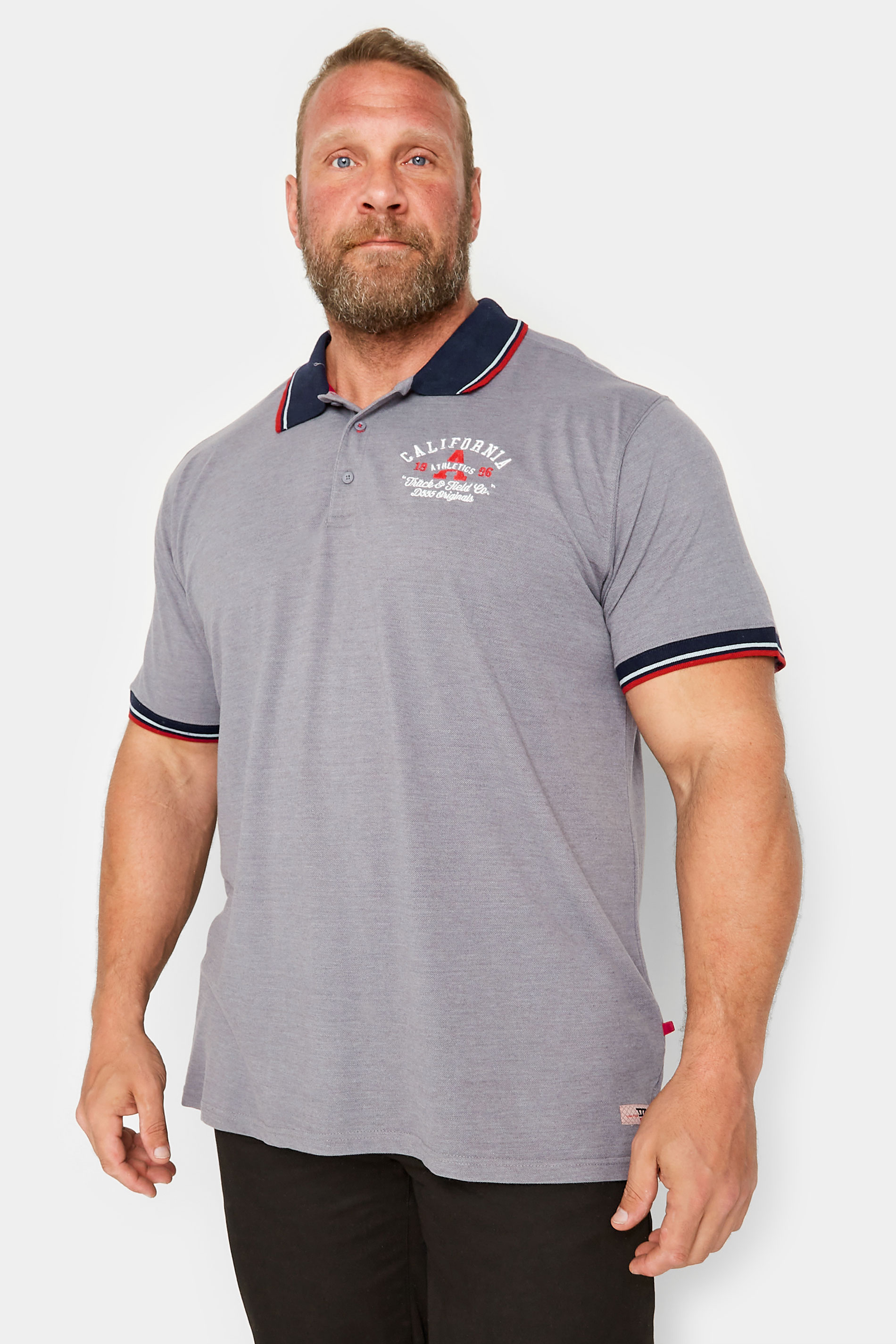 D555 D555 Big & Tall Grey Embroidered Polo Shirt