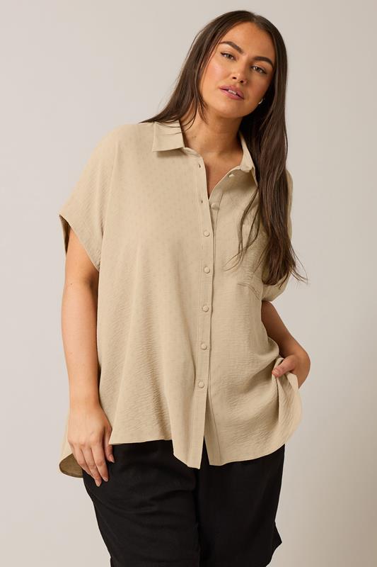 Evans EVANS Curve Natural Brown Grown On Sleeve Blouse