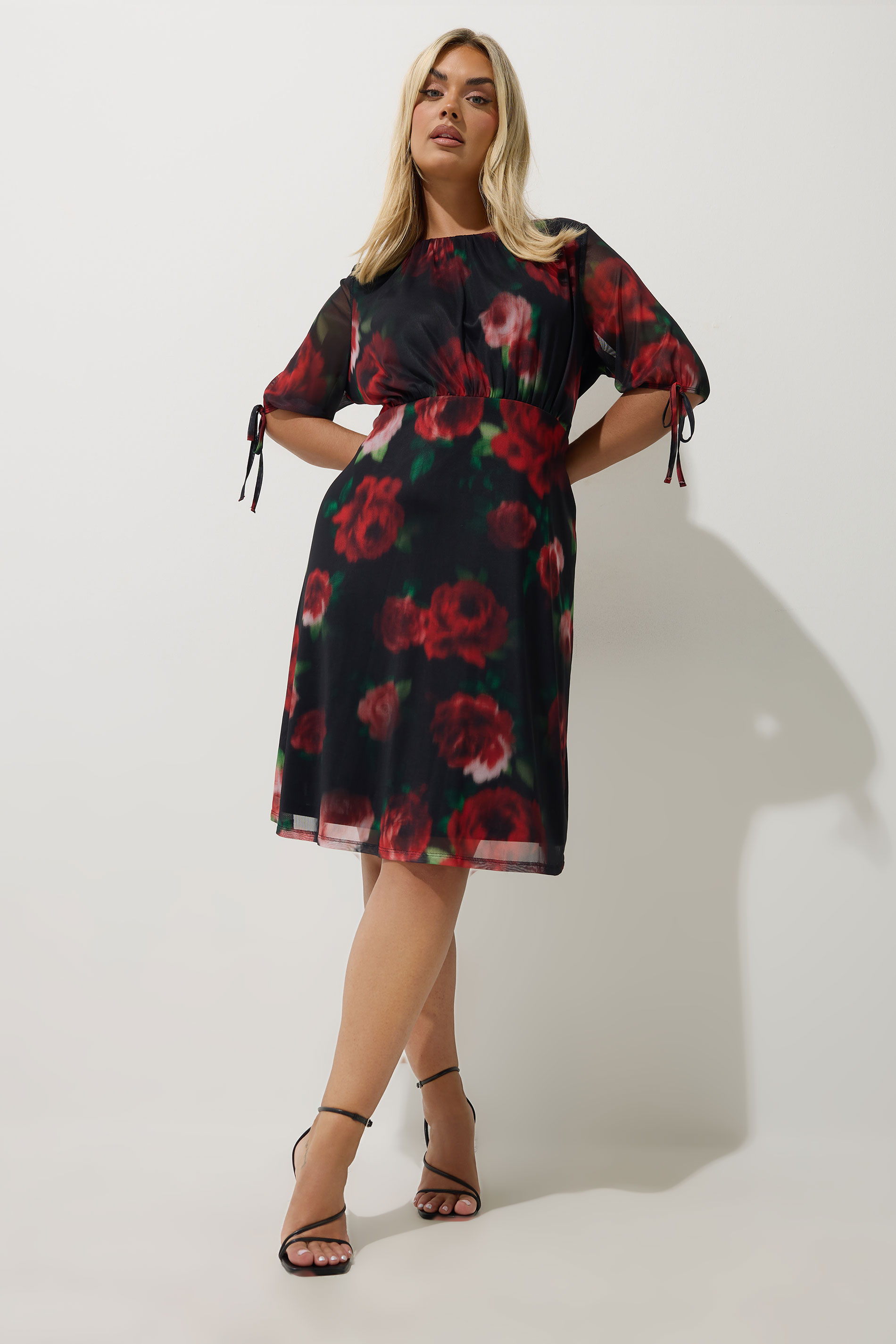 Limited Collection LIMITED COLLECTION Curve Black Rose Mesh Mini Dress