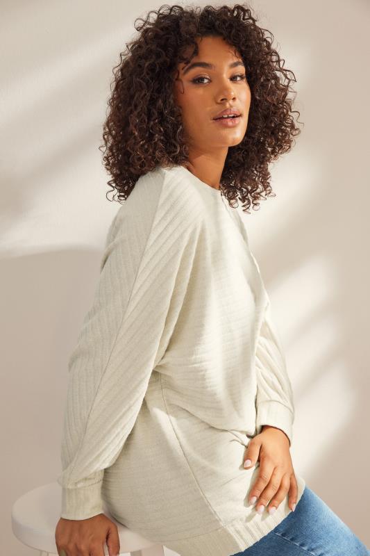Evans EVANS Curve Cream Ribbed Soft Touch Jumper
