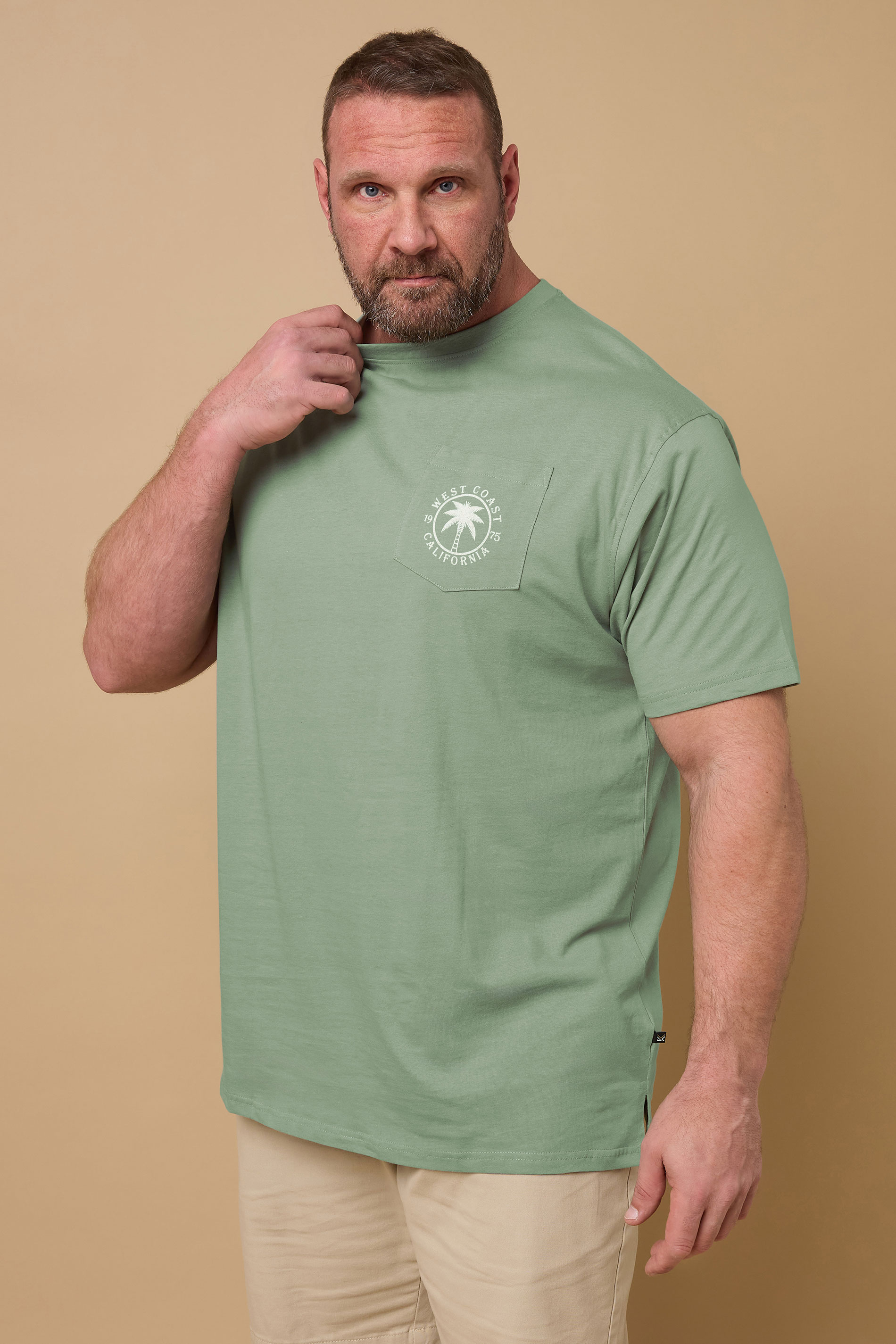 Kam KAM Big & Tall Sage Green 'Pasadena' Reverse T-Shirt