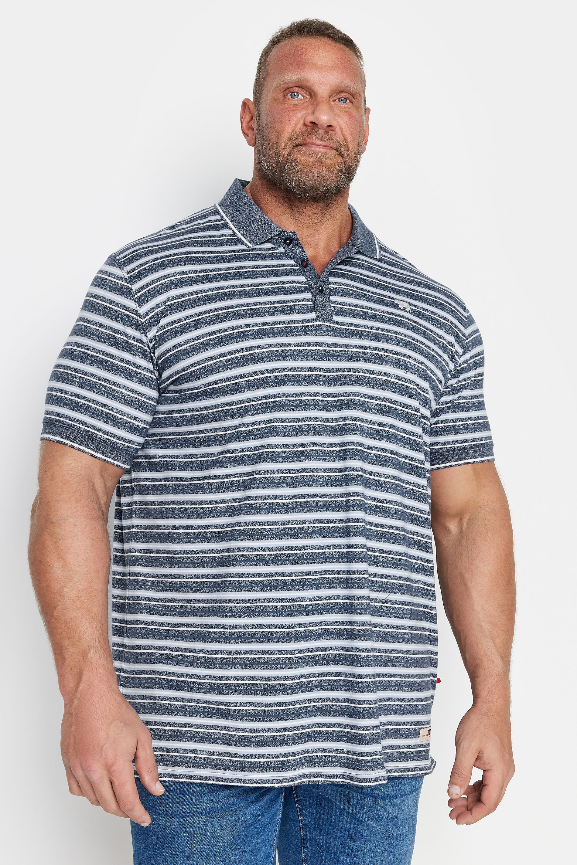 D555 D555 Big & Tall Grey Stripe Polo Shirt