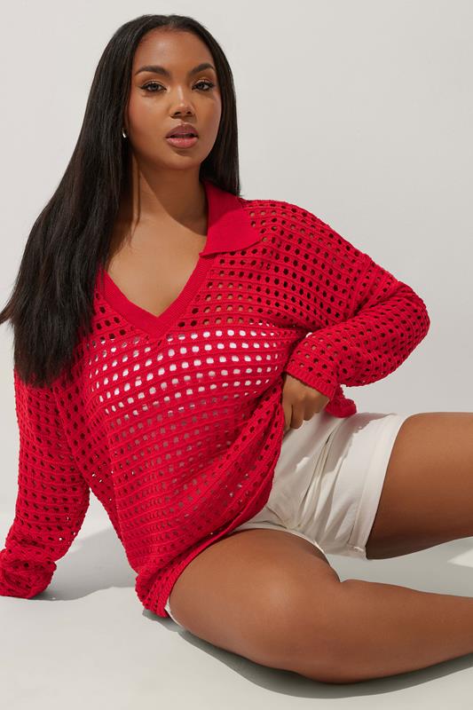 Limited Collection LIMITED COLLECTION Curve Red Crochet Collared Top