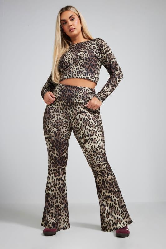 Limited Collection LIMITED COLLECTION Curve Brown Leopard Print Long Sleeve Top