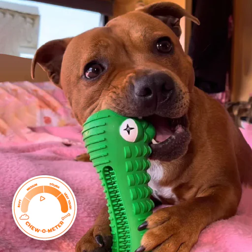 Crocodile Dental Chew