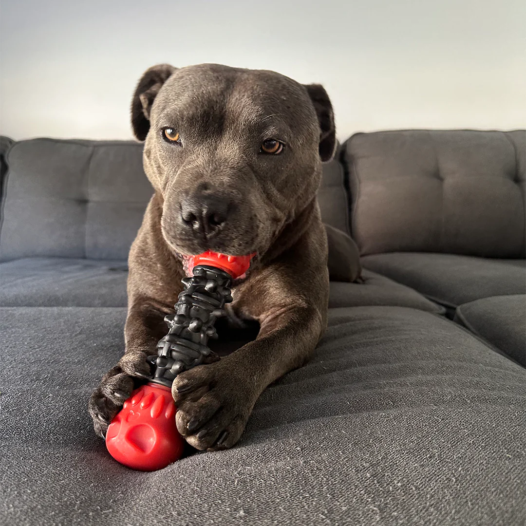 Classic Toy Collection