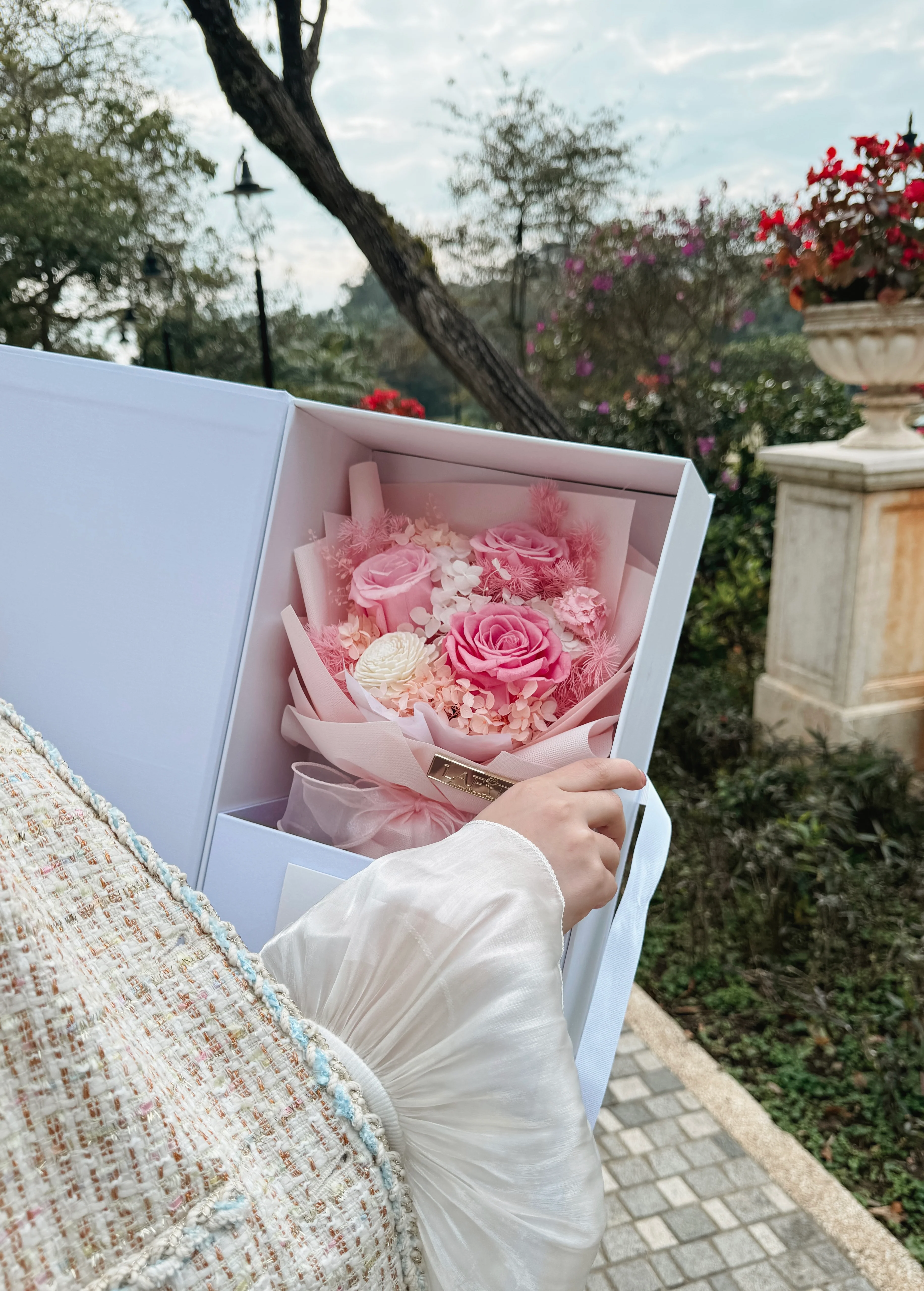 LAFIT Valentine��s Day 2024 �� LAFIT����ͯԒ���Y�� �� Blushing Love - Airy Pink