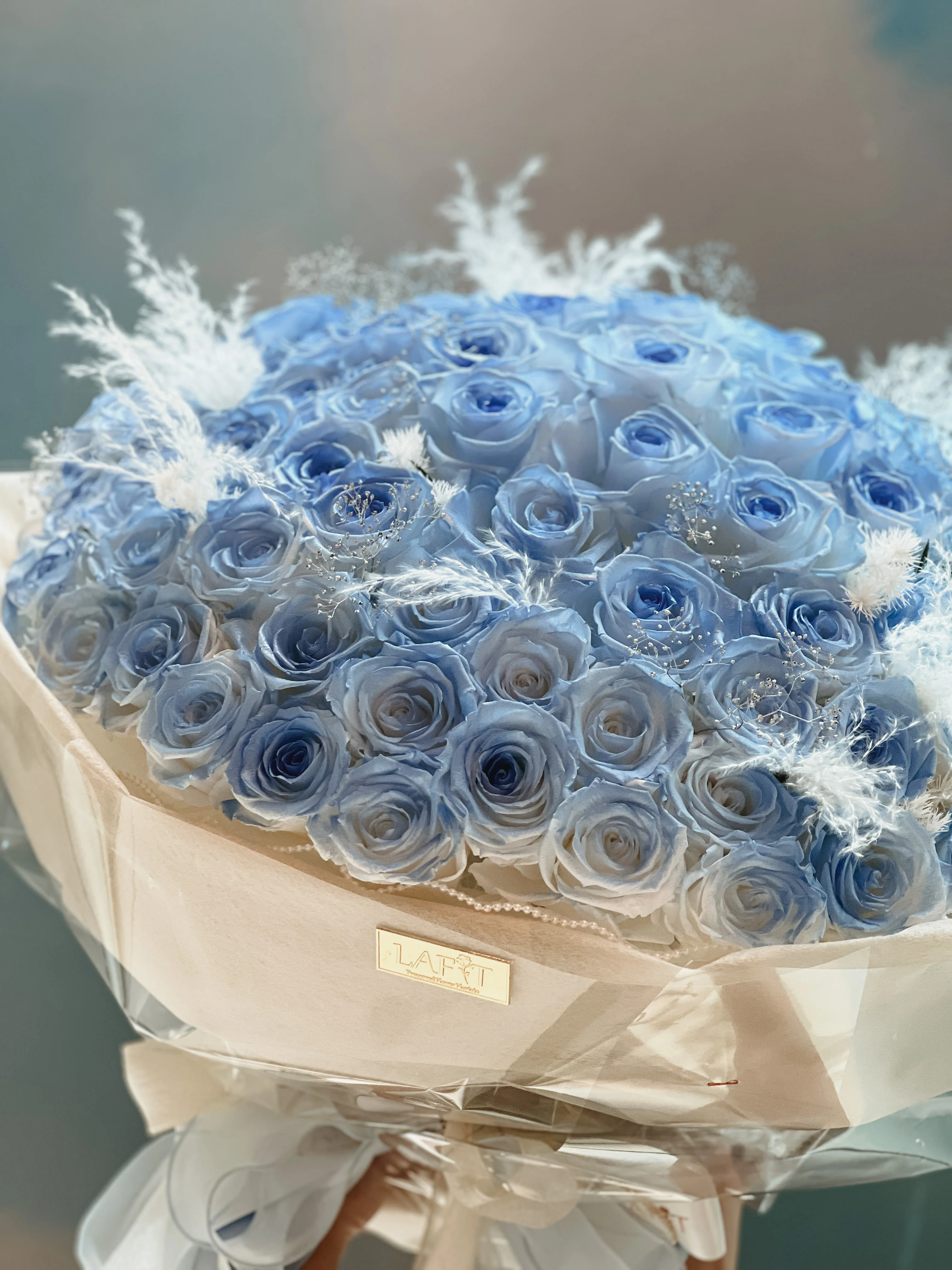 LAFIT�������99���������� ? Frozen Landϵ�� - Dreamy Diamond