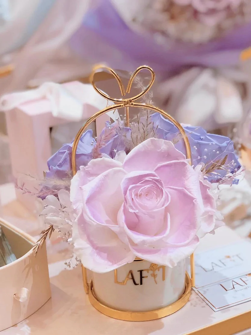 LAFIT ���ù���������ˇ�[�O �� Little Sweetie - Rapunzel