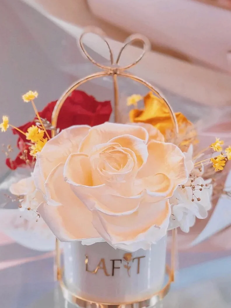 LAFIT 夢幻公主永生花藝擺設 · Little Sweetie - Belle