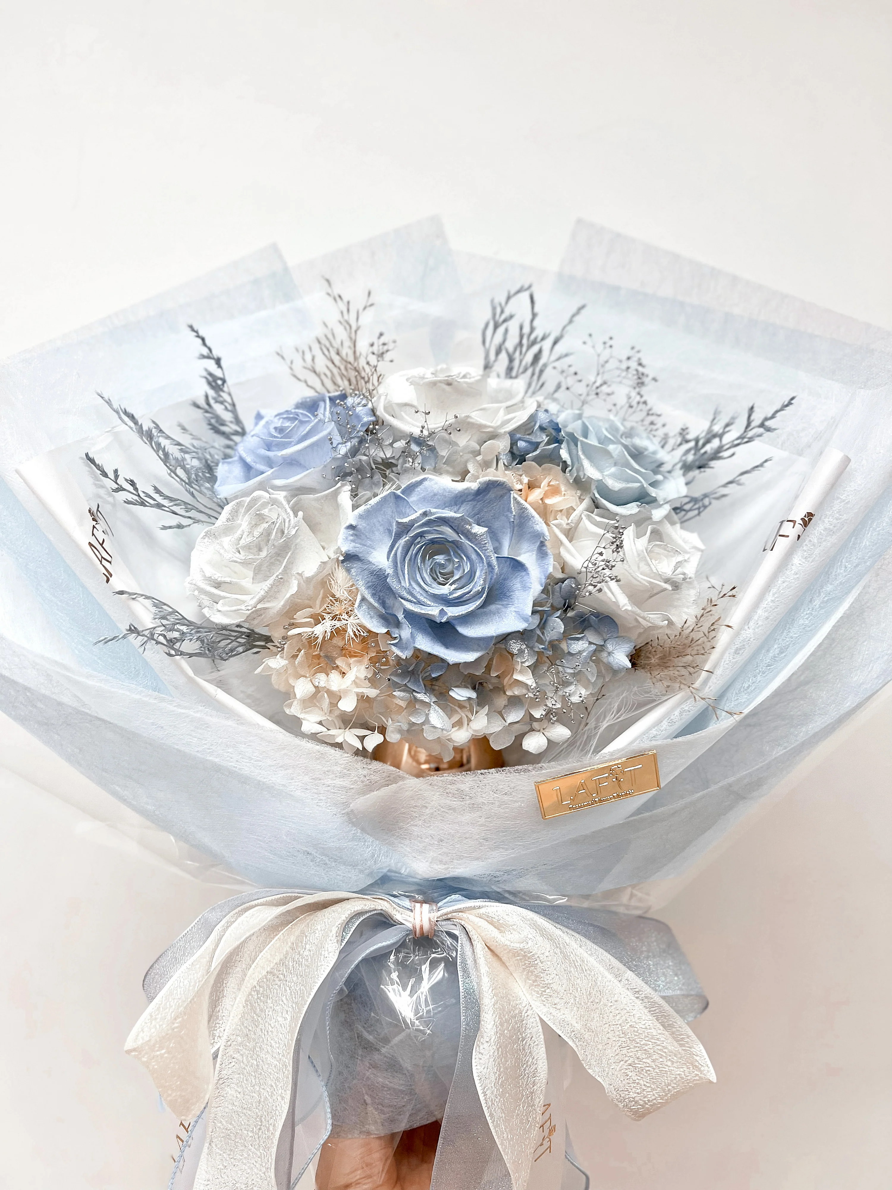 LAFIT���Ýu׃�������� ? Frozen Landϵ�� - Ice Blue