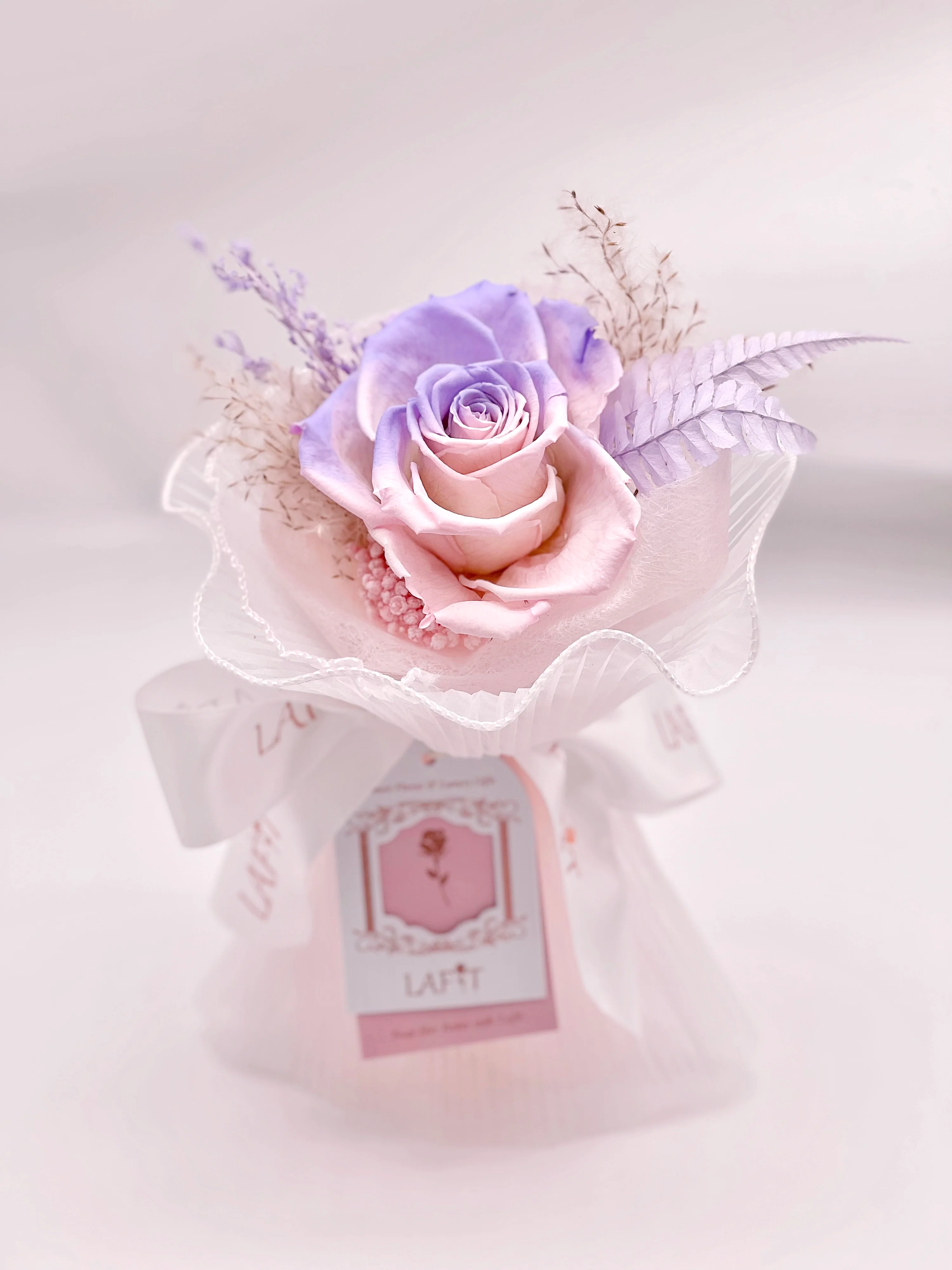 LAFIT ���Ýu׃������ BABY LOVE - Lilac Blush
