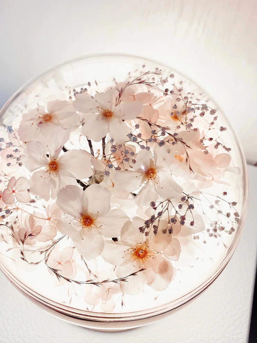 LAFIT - 明星首選永生花藝擺設�?The SAKURA (with white Sakura )