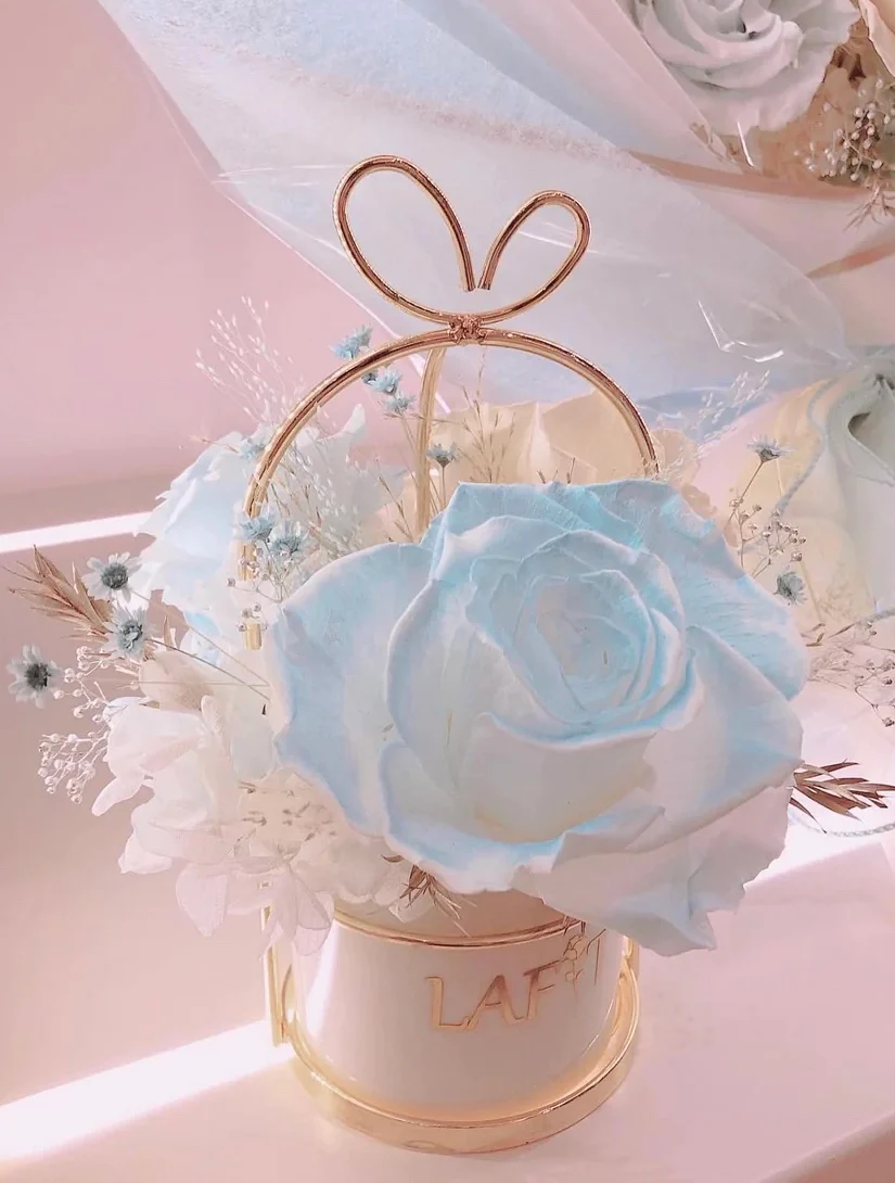 LAFIT ���ù���������ˇ�[�O ? Disney Fairytaleϵ�� Little Sweetie - (Elsa)