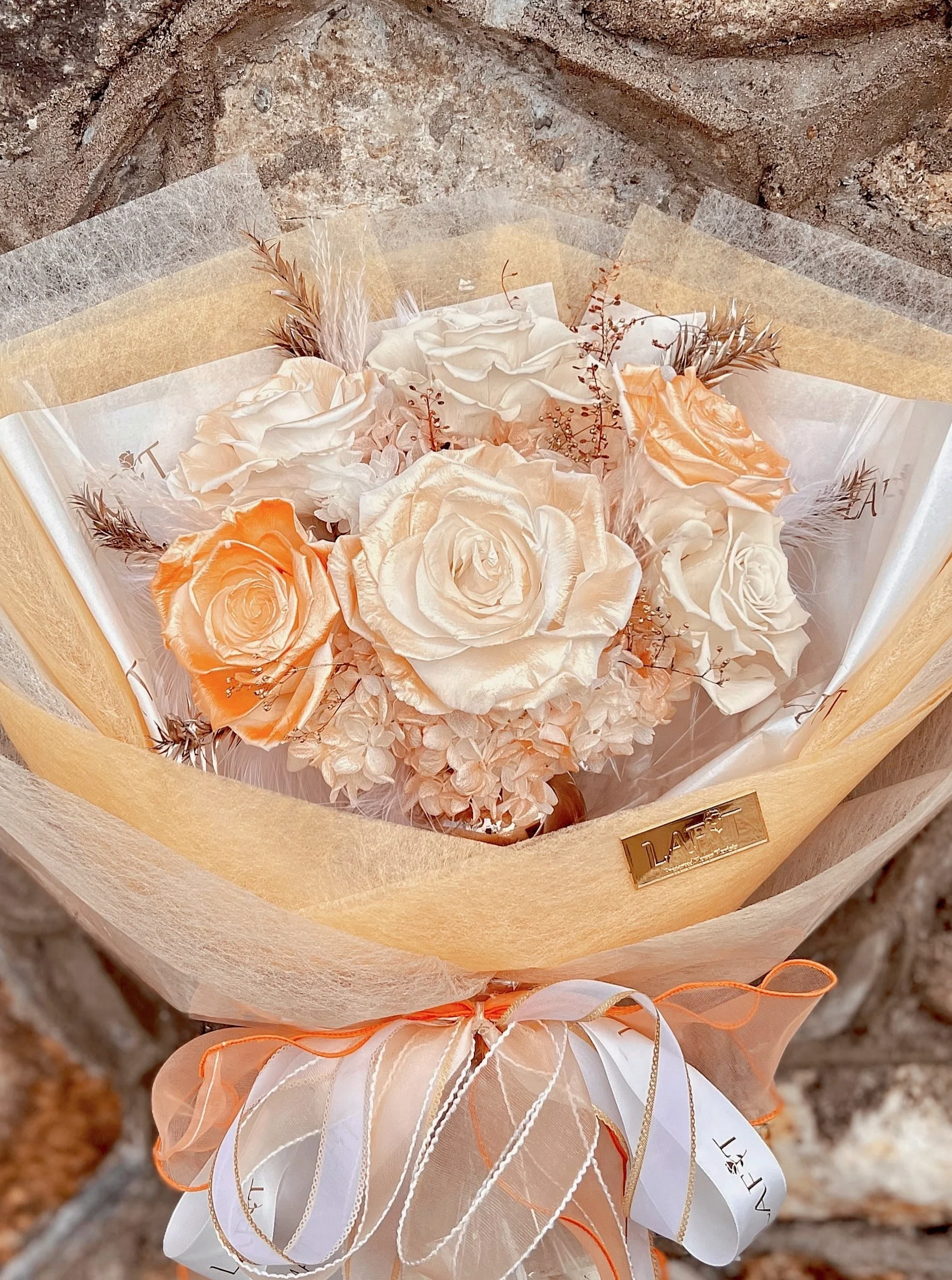 LAFIT���������������� ? The Romance Expressϵ�� (Dream of Cappadocia)