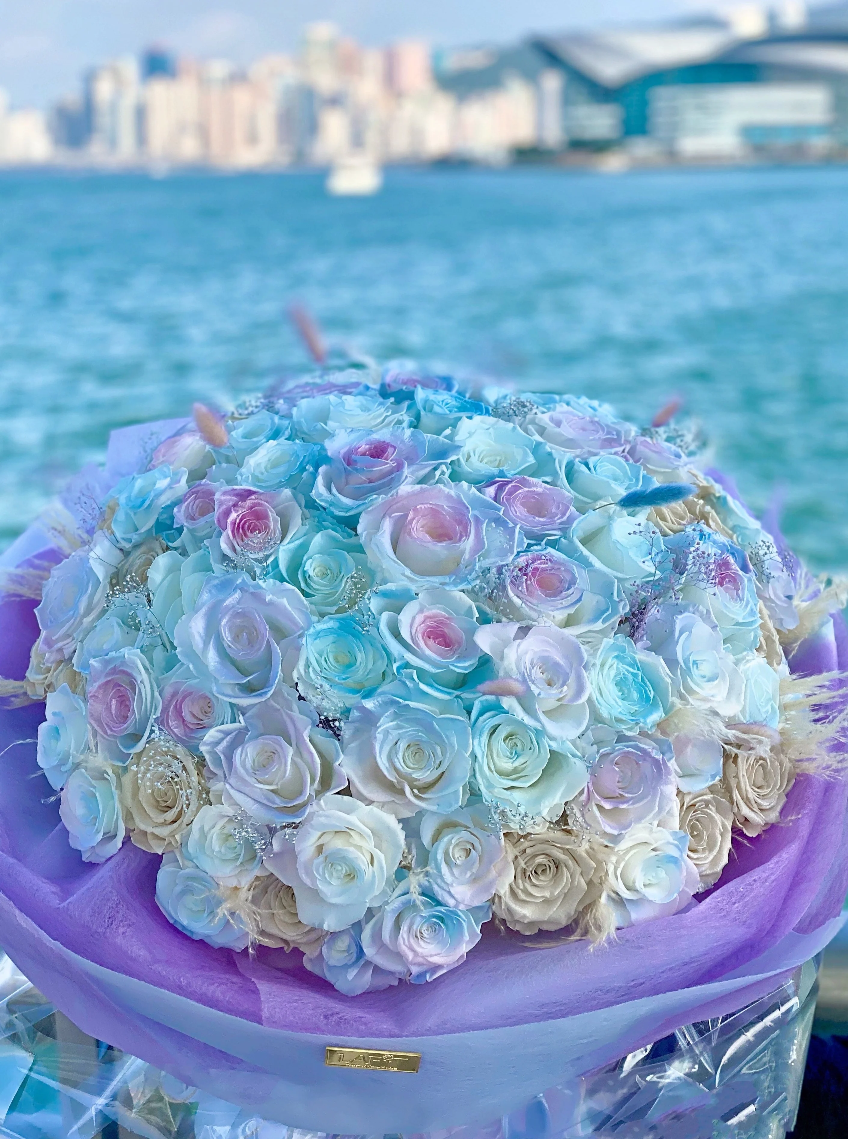 LAFIT�������99���������� ? Mermaid Tearsϵ�� (Limpet Shell)