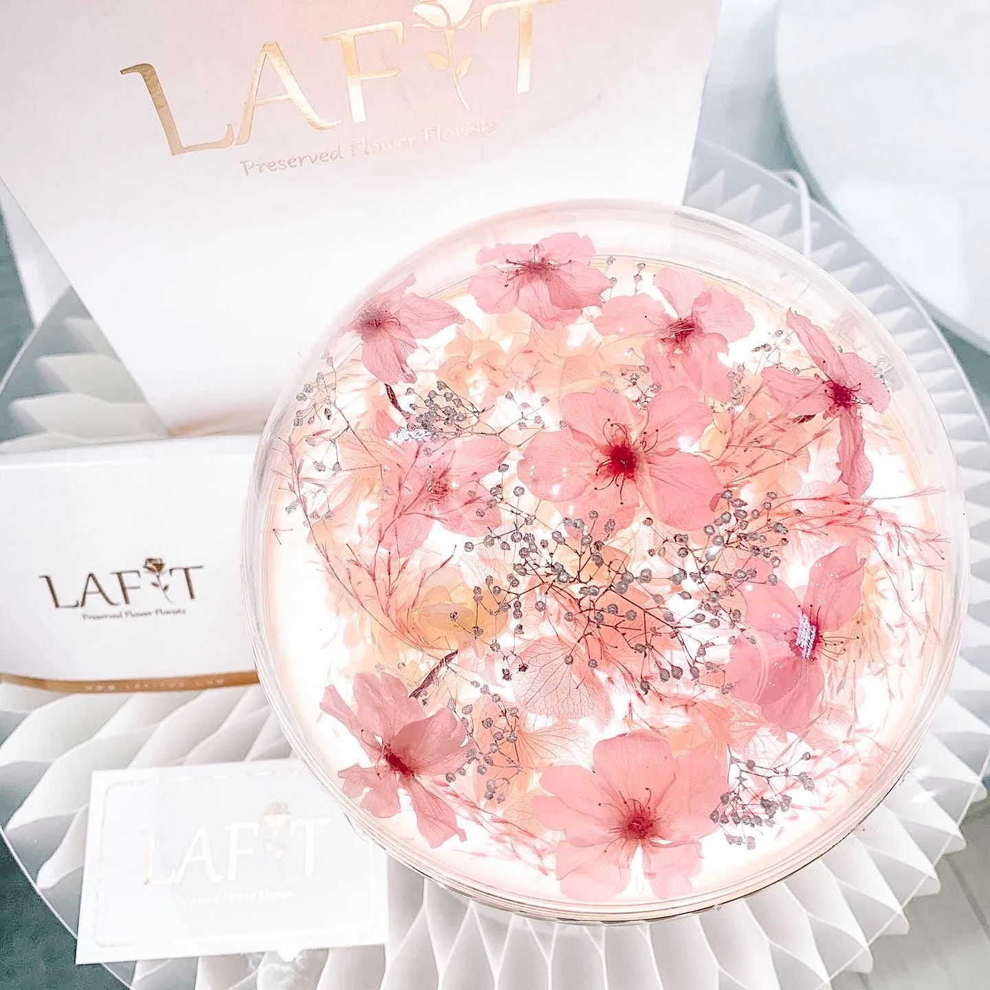 LAFIT �����ɚ�������ˇ�[�O �� THE SAKURA -PINK