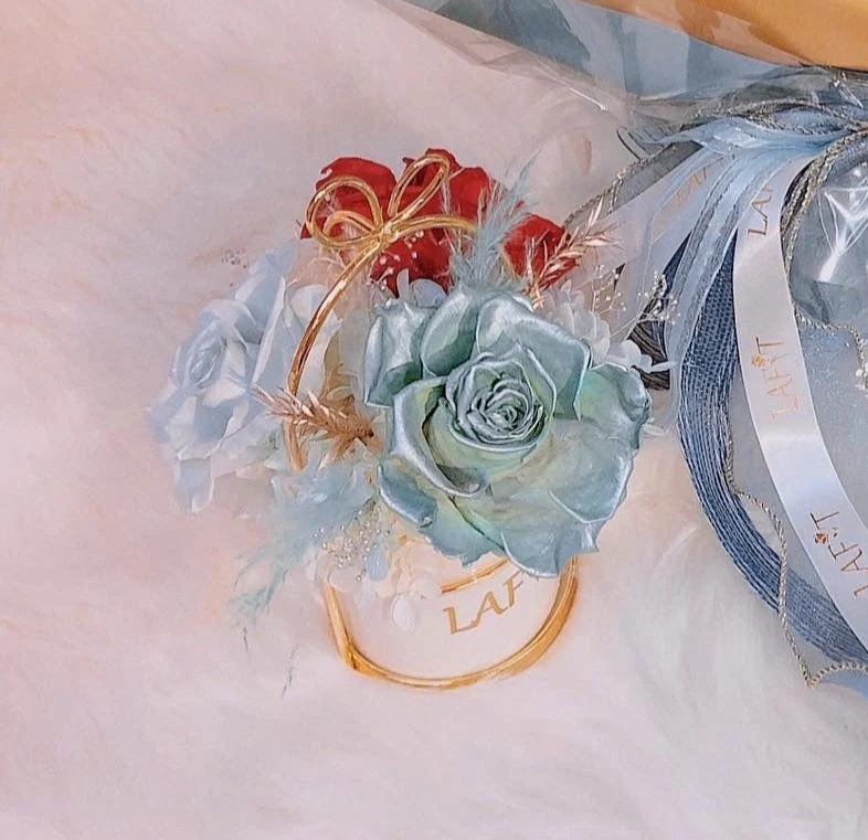 LAFIT ���ù���������ˇ�[�O �� Little Sweetie - Mermaid