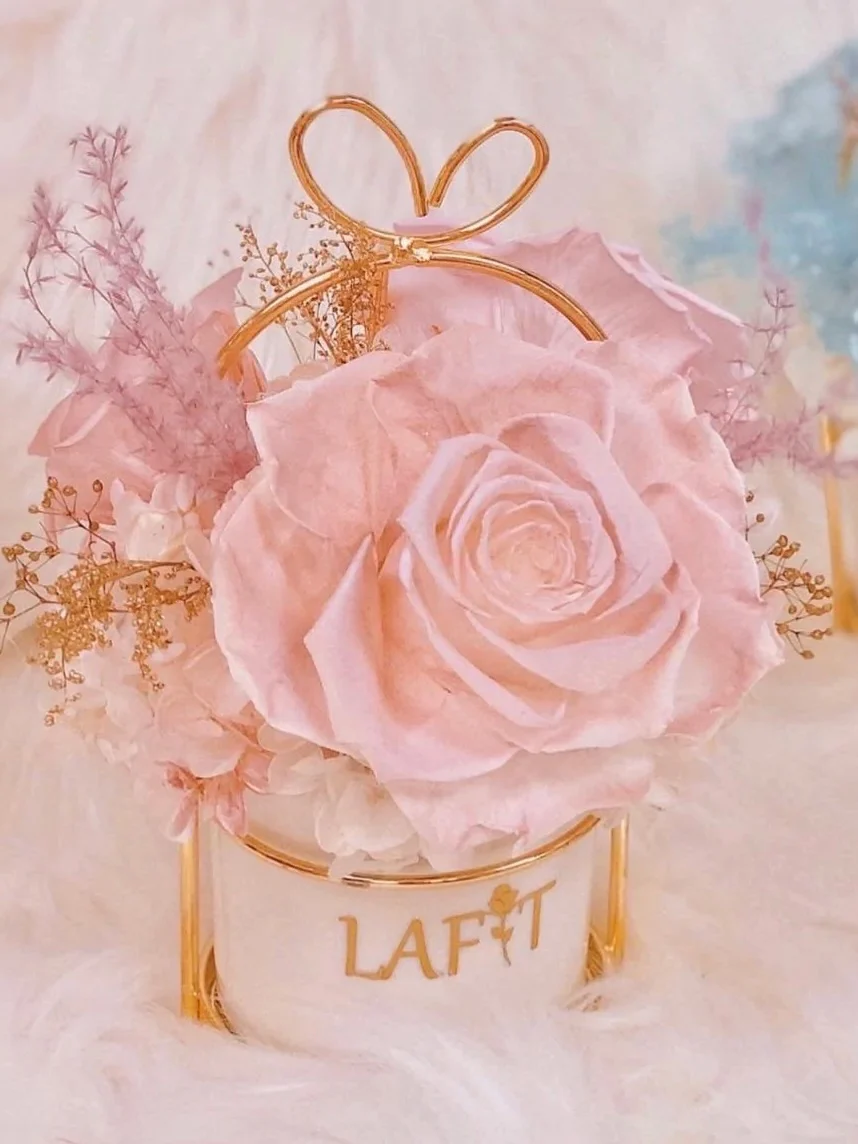 LAFIT ���ù���������ˇ�[�O �� Little Sweetie - Sleeping beauty