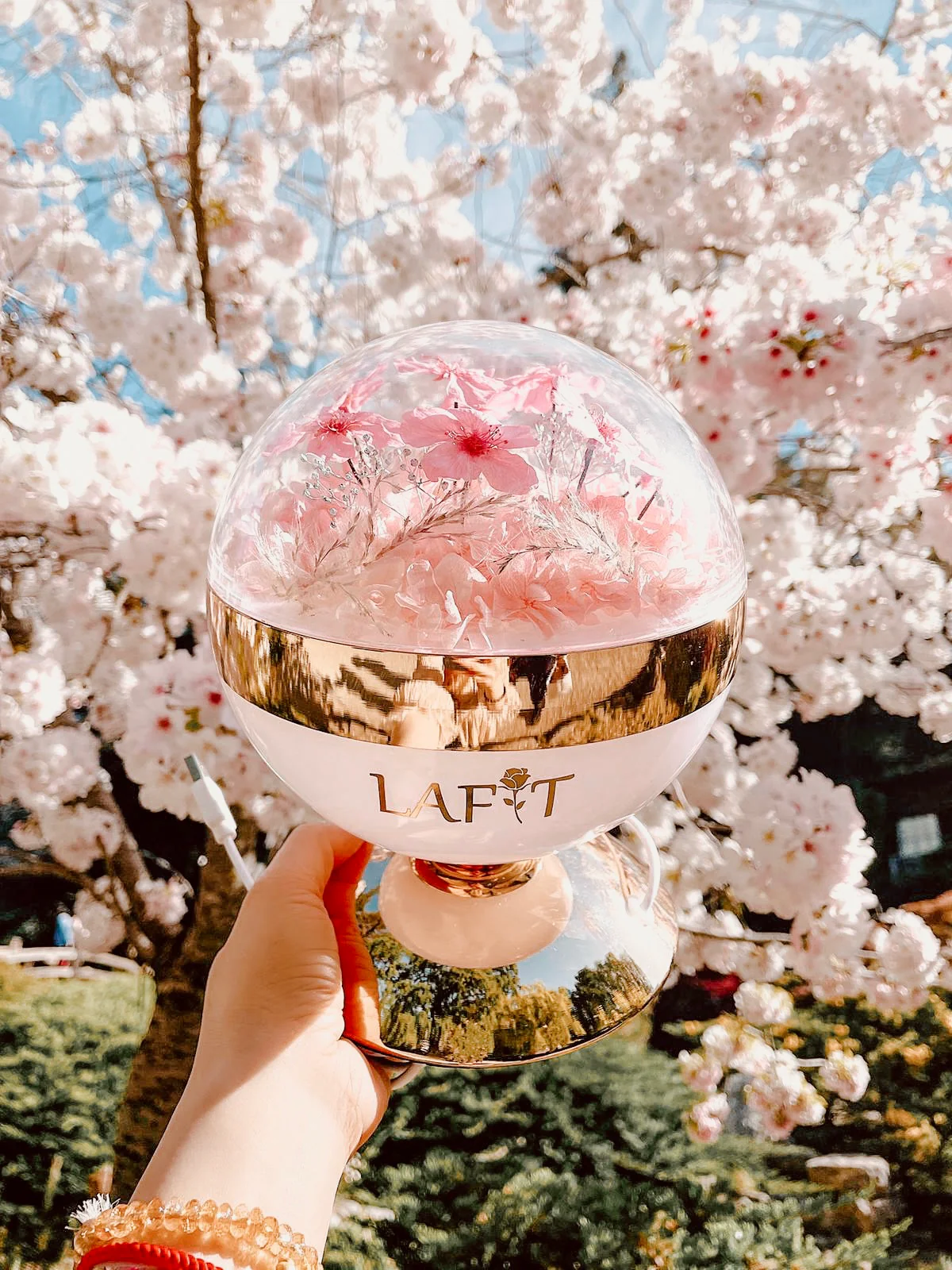 LAFIT �����ɚ�������ˇ�[�O �� THE SAKURA -PINK
