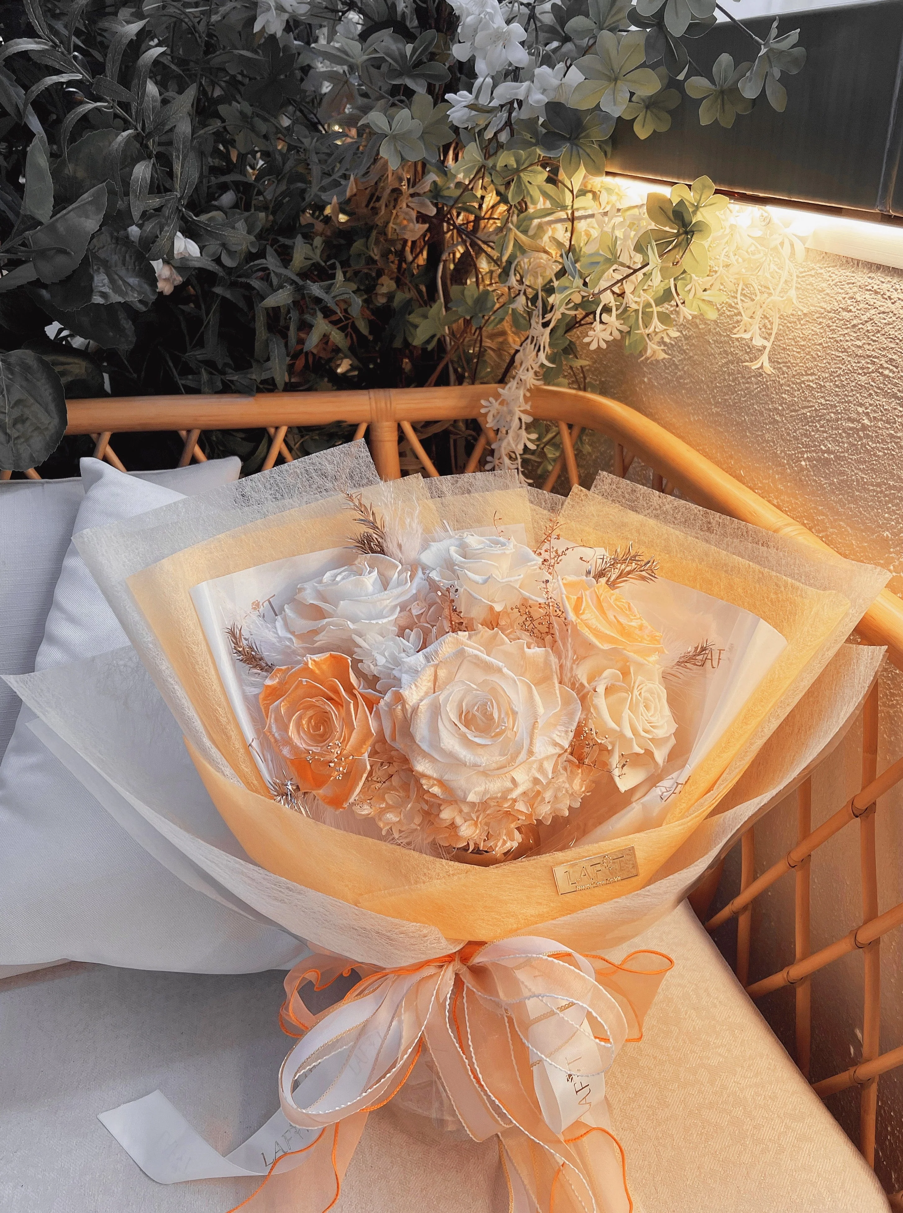 LAFIT���������������� ? The Romance Expressϵ�� (Dream of Cappadocia)