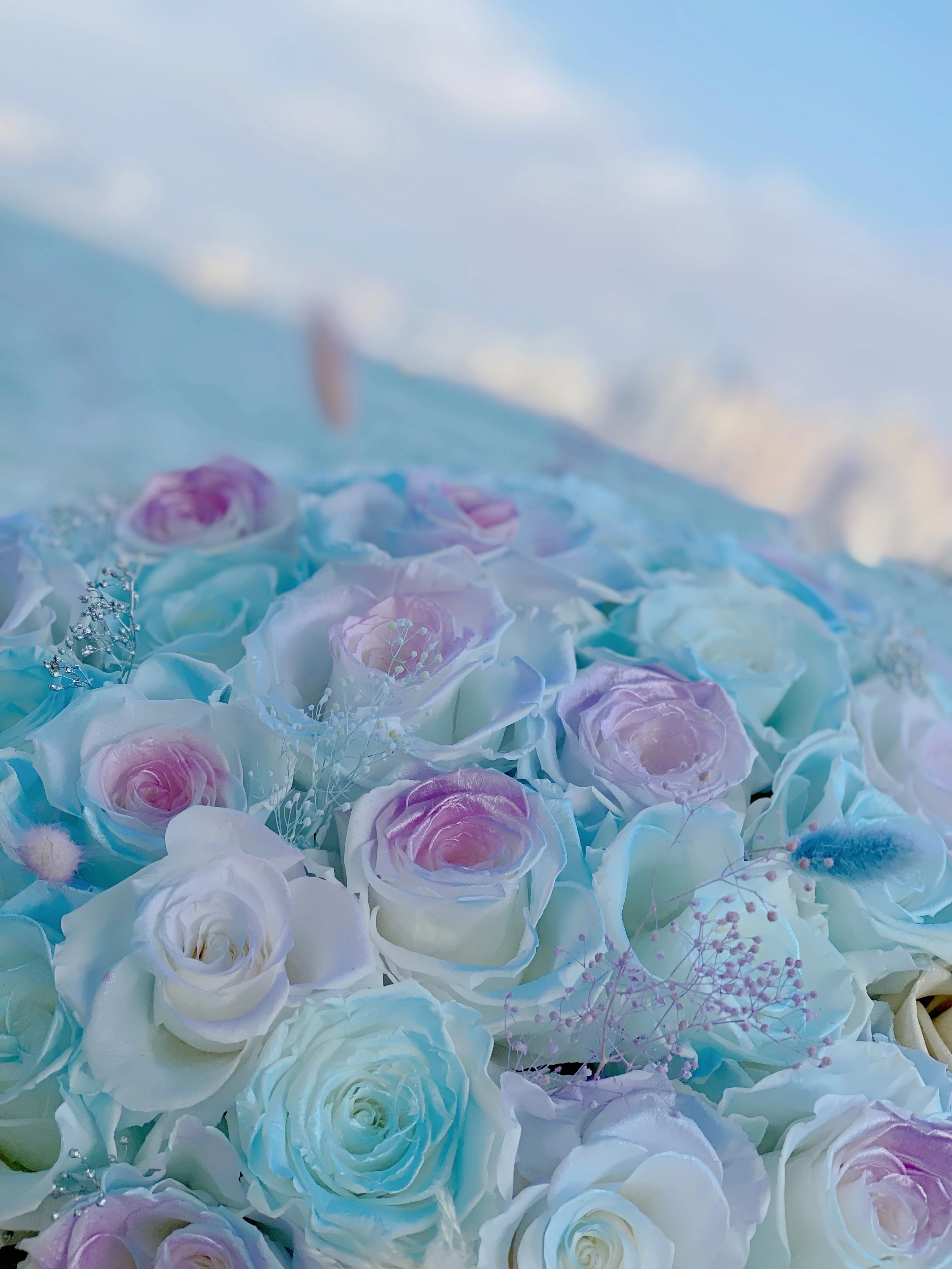 LAFIT�������99���������� ? Mermaid Tearsϵ�� (Limpet Shell)