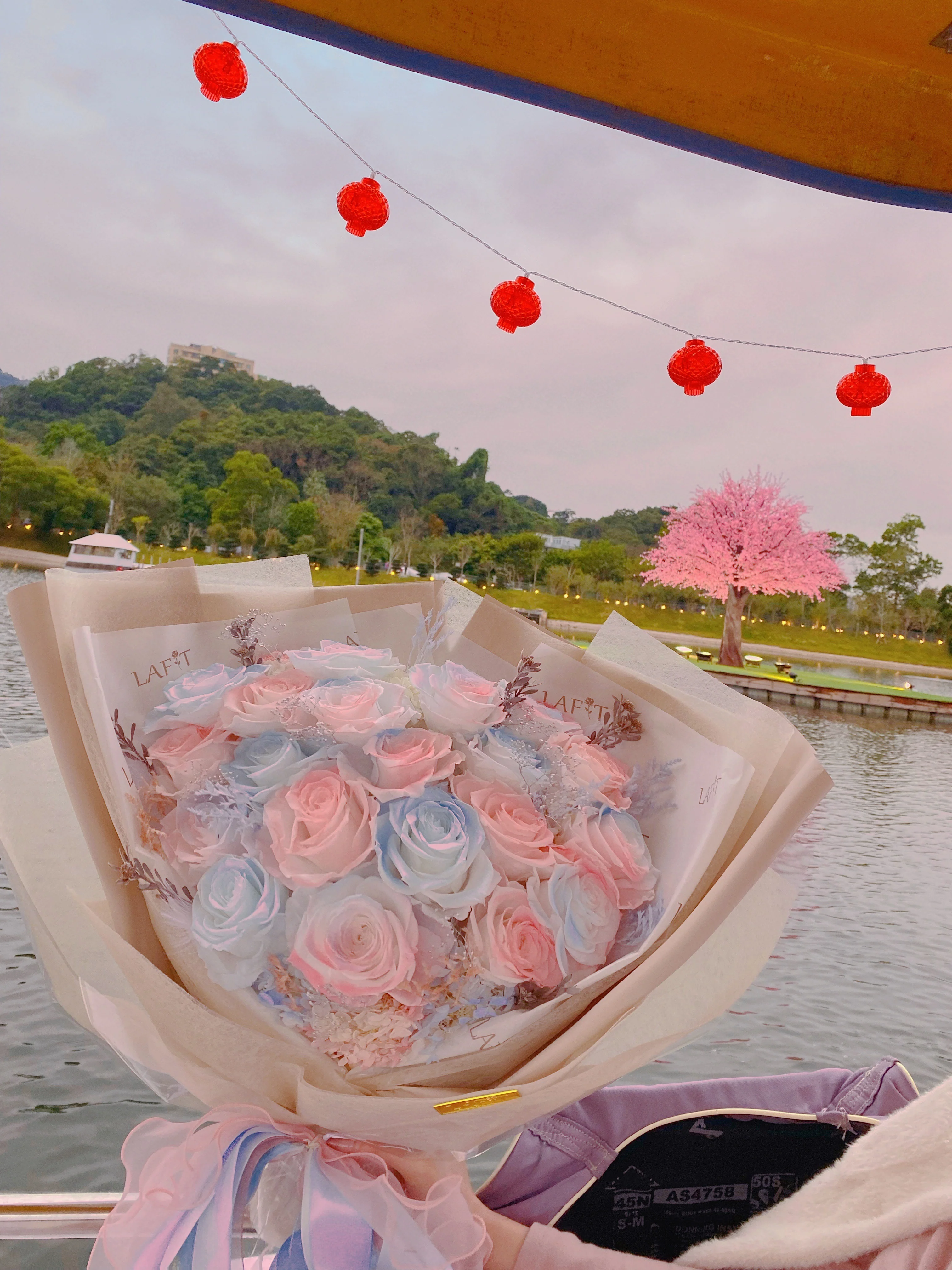 LAFIT�����ɚ��������� ? Rose Cloud