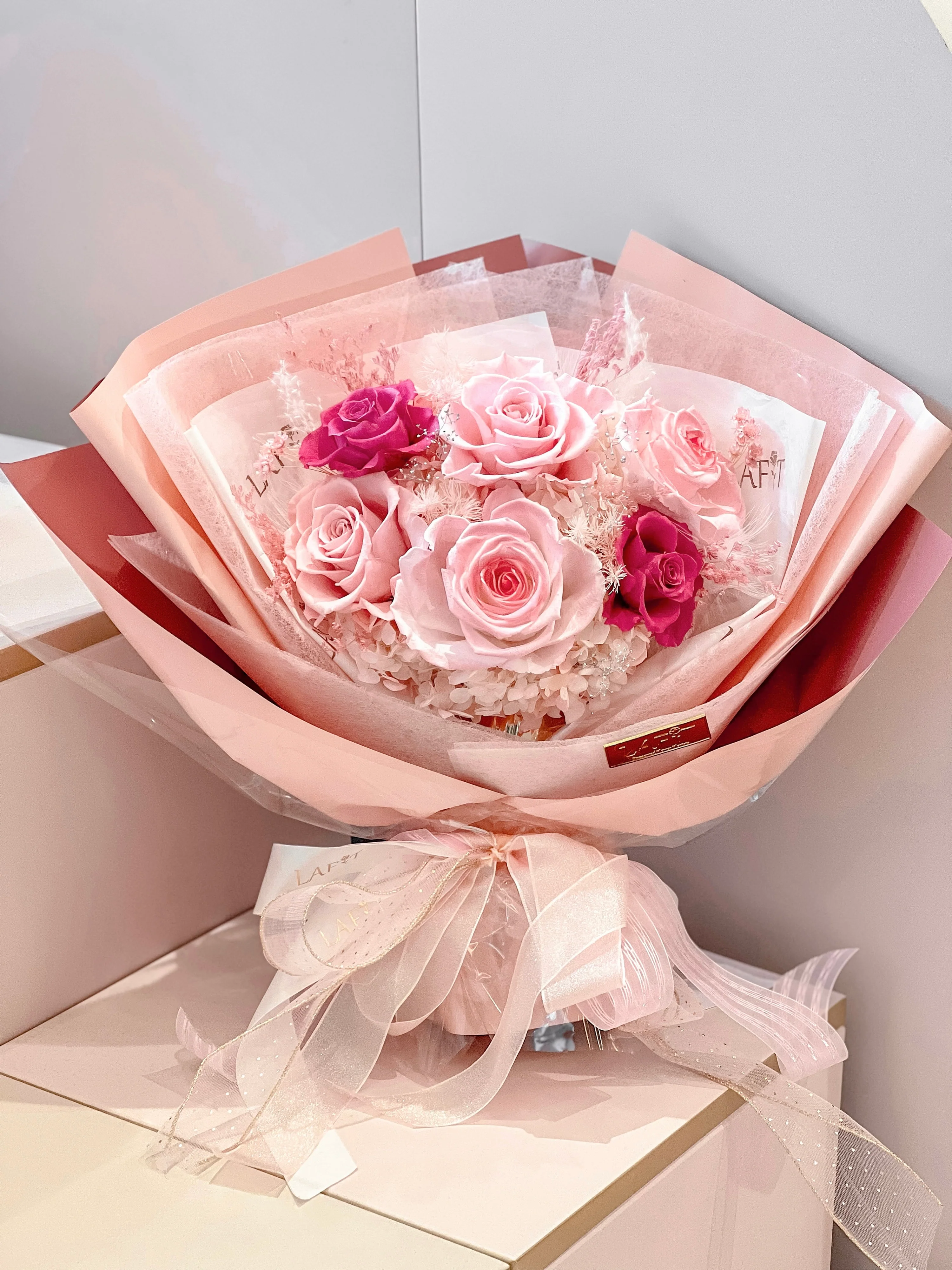 LAFIT���Ýu׃�������� ? Barbie��s Pink Paradise