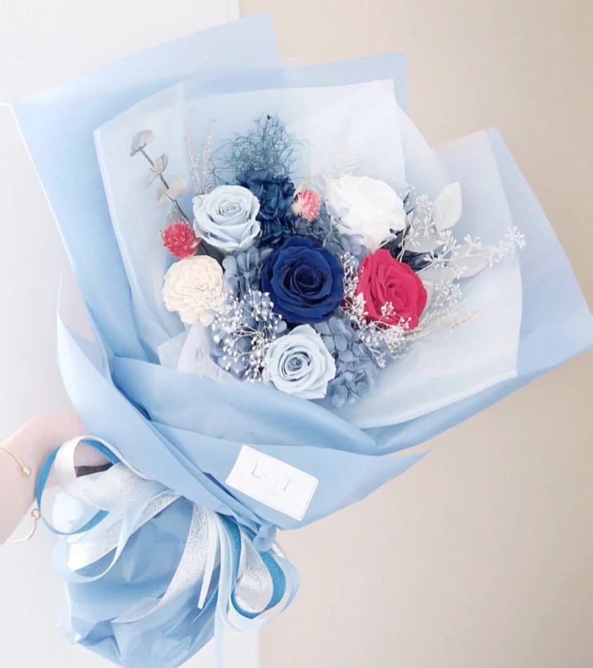 LAFIT�����ɚ��������� ? Navy & Red