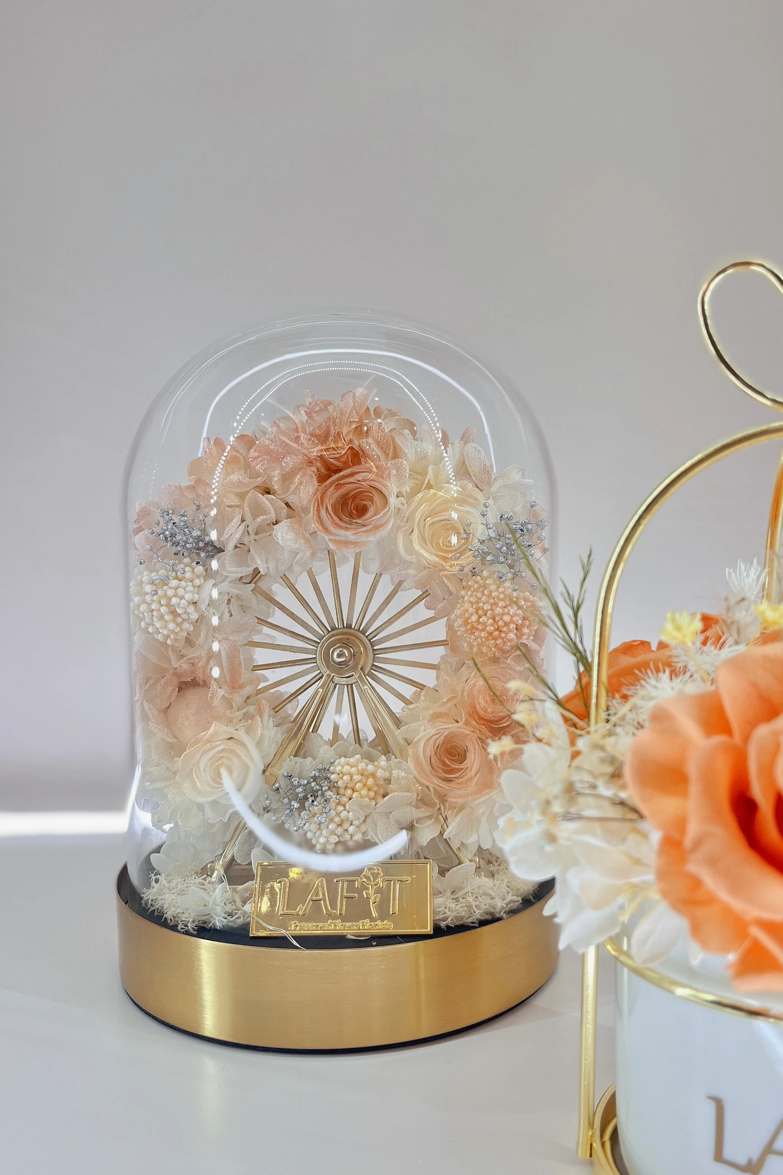 LAFIT �����ɚ�������ˇ�[�O �� Snowy Fairyland - Sunshine Golden