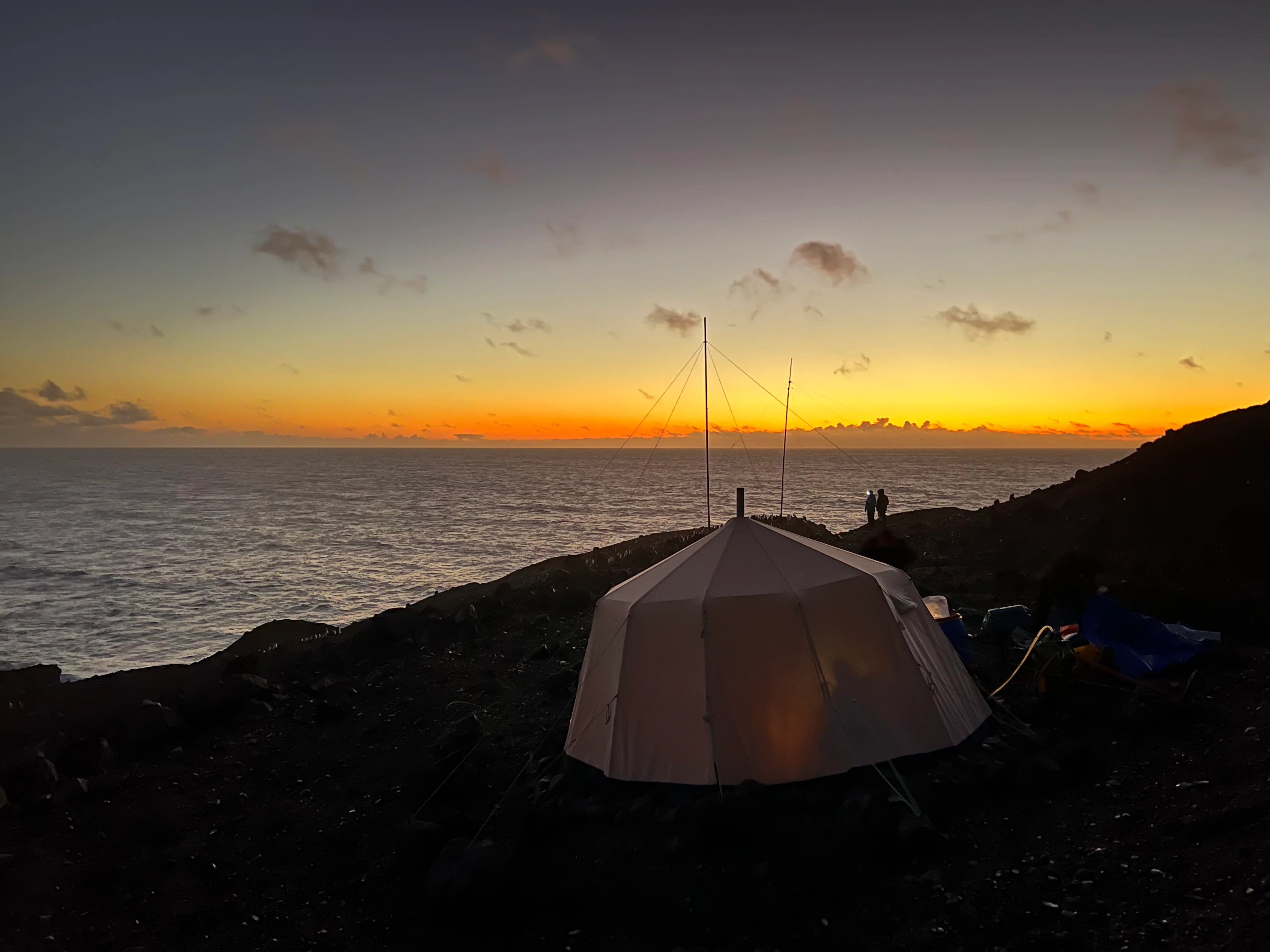 Venor Gamme - expedition - beige