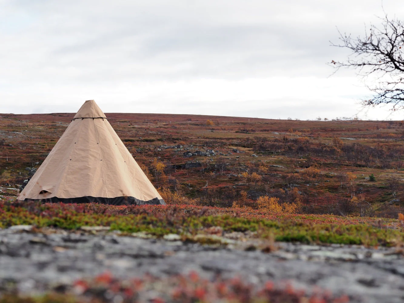 Venor Lavvo - basecamp - beige