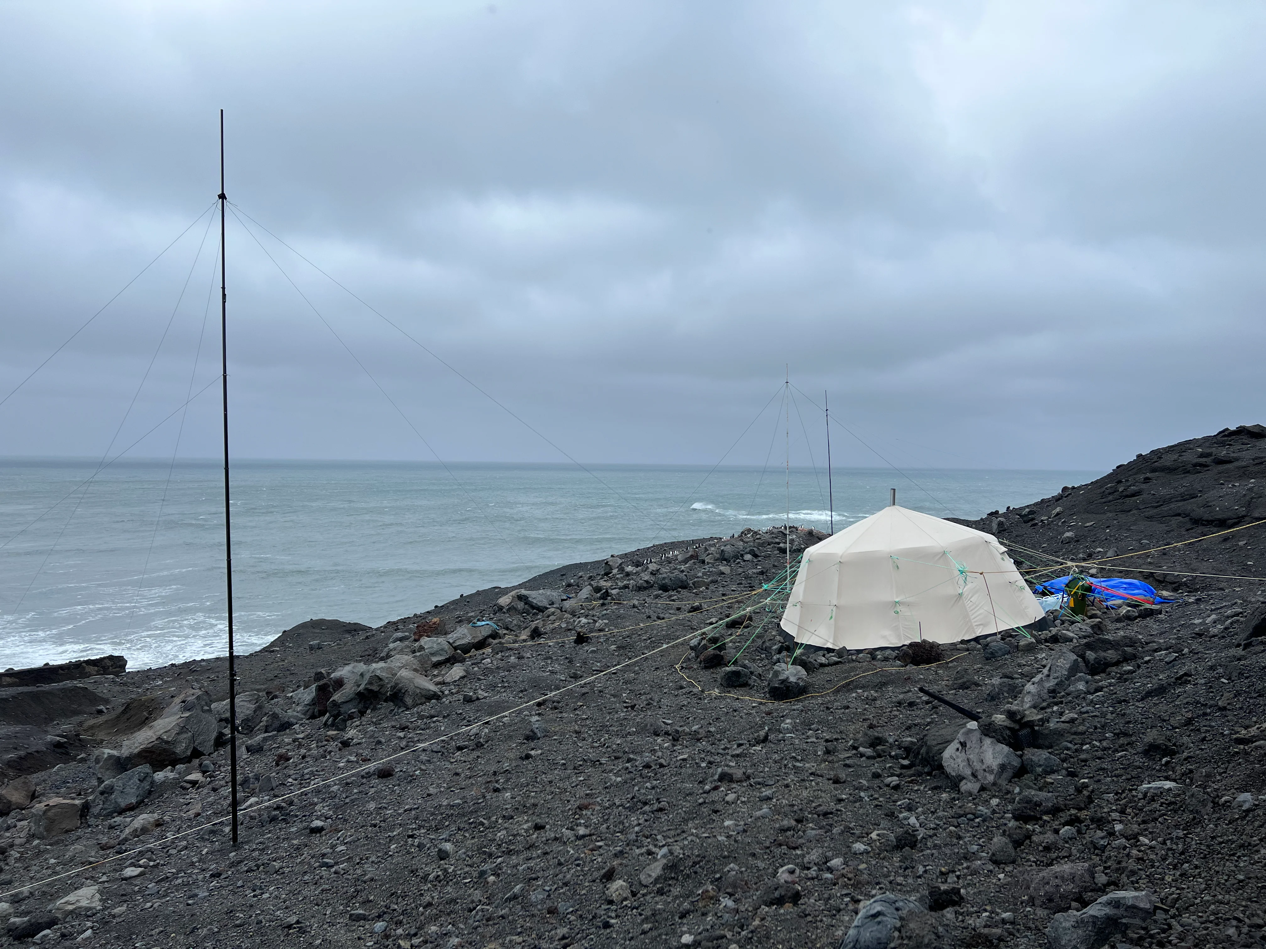 Venor Gamme - expedition - beige