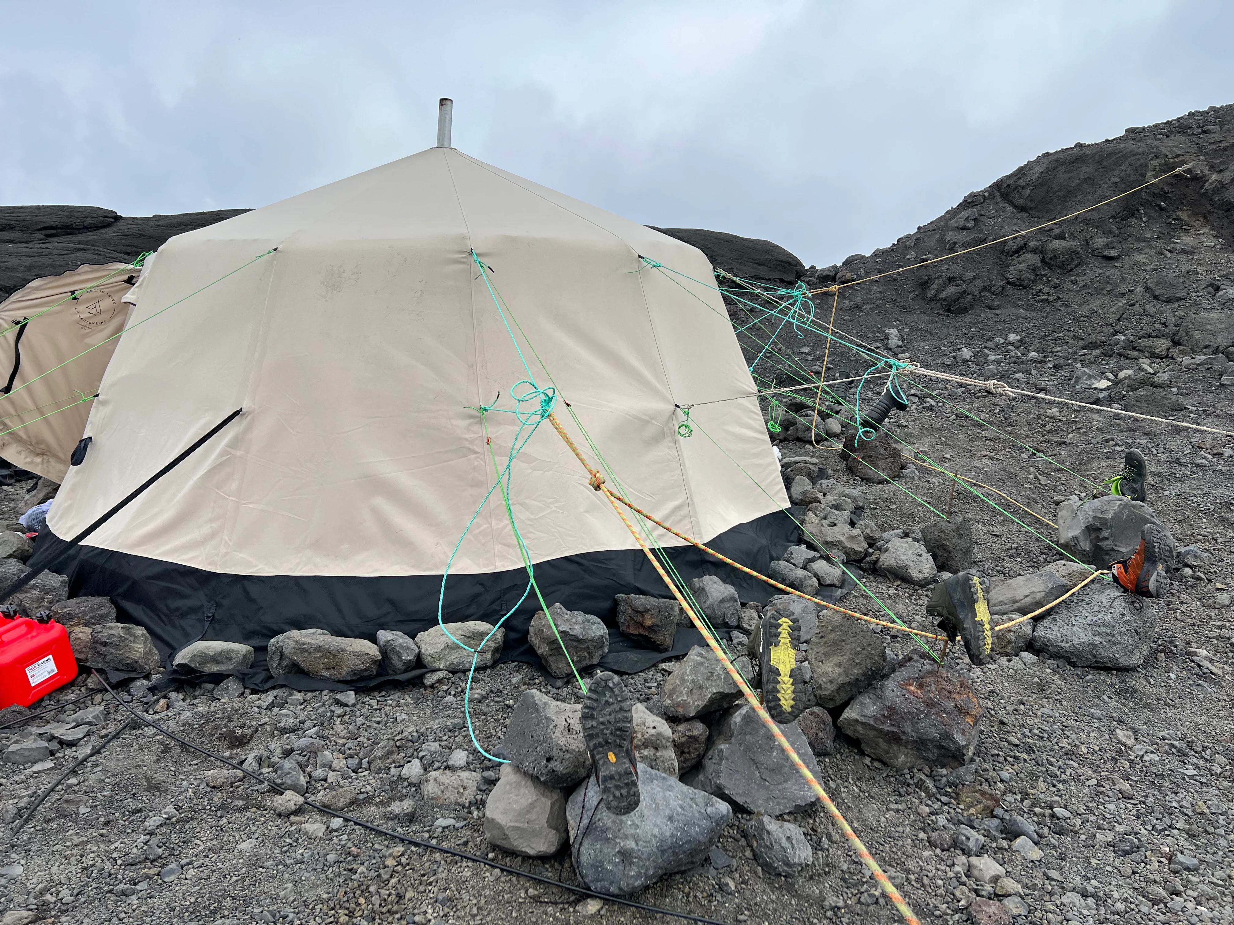 Venor Gamme - expedition - beige