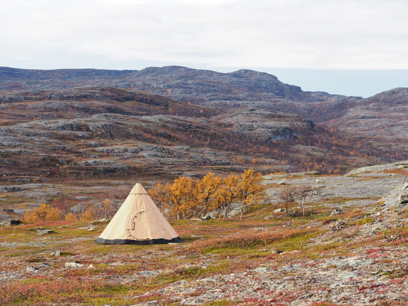 Venor Lavvo - basecamp - beige