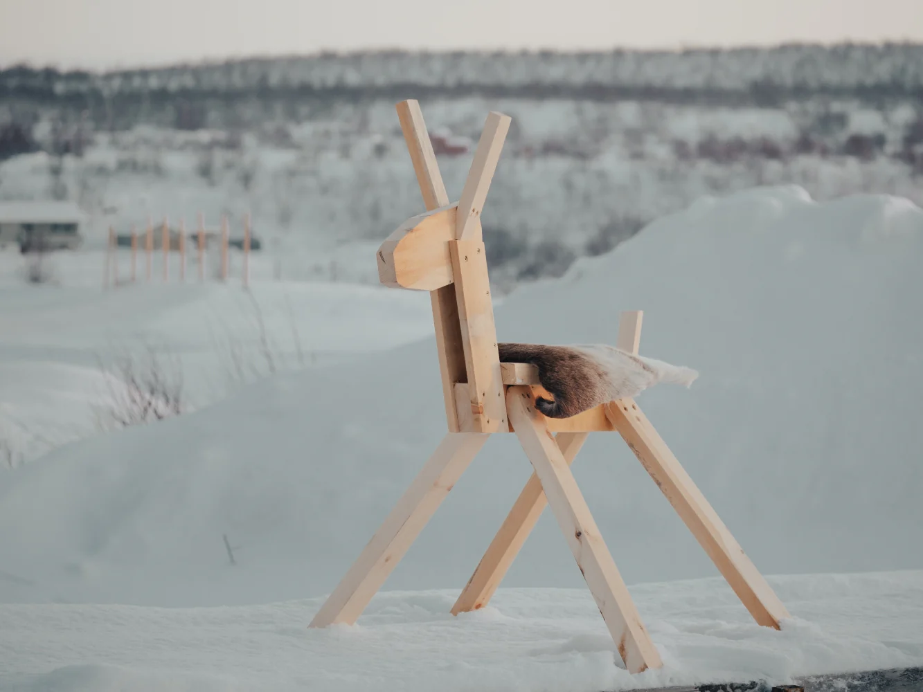 Arctic Minilavvo med trerein - pakketilbud