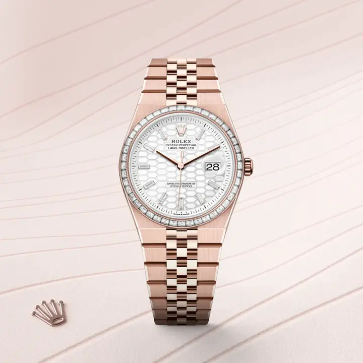 Rolex Land-Dweller 36 Oyster, 36 mm, Everose gold and diamonds M127285TBR-0002