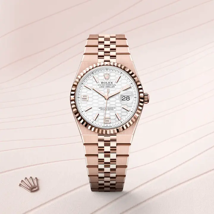 Rolex Land-Dweller 36 Oyster, 36 mm, Everose gold M127235-0001