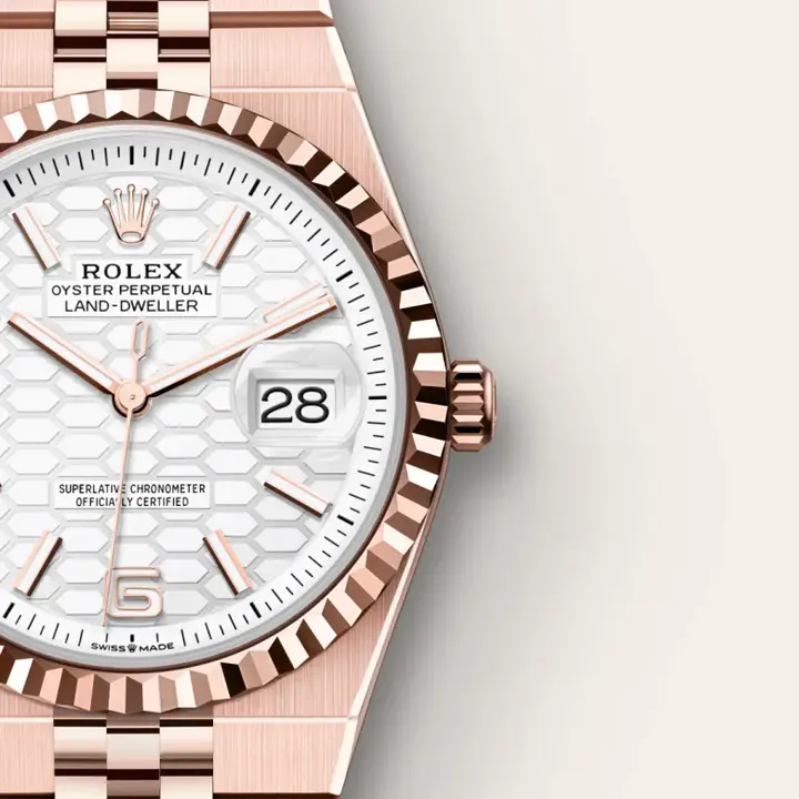 Rolex Land-Dweller 36 Oyster, 36 mm, Everose gold M127235-0001