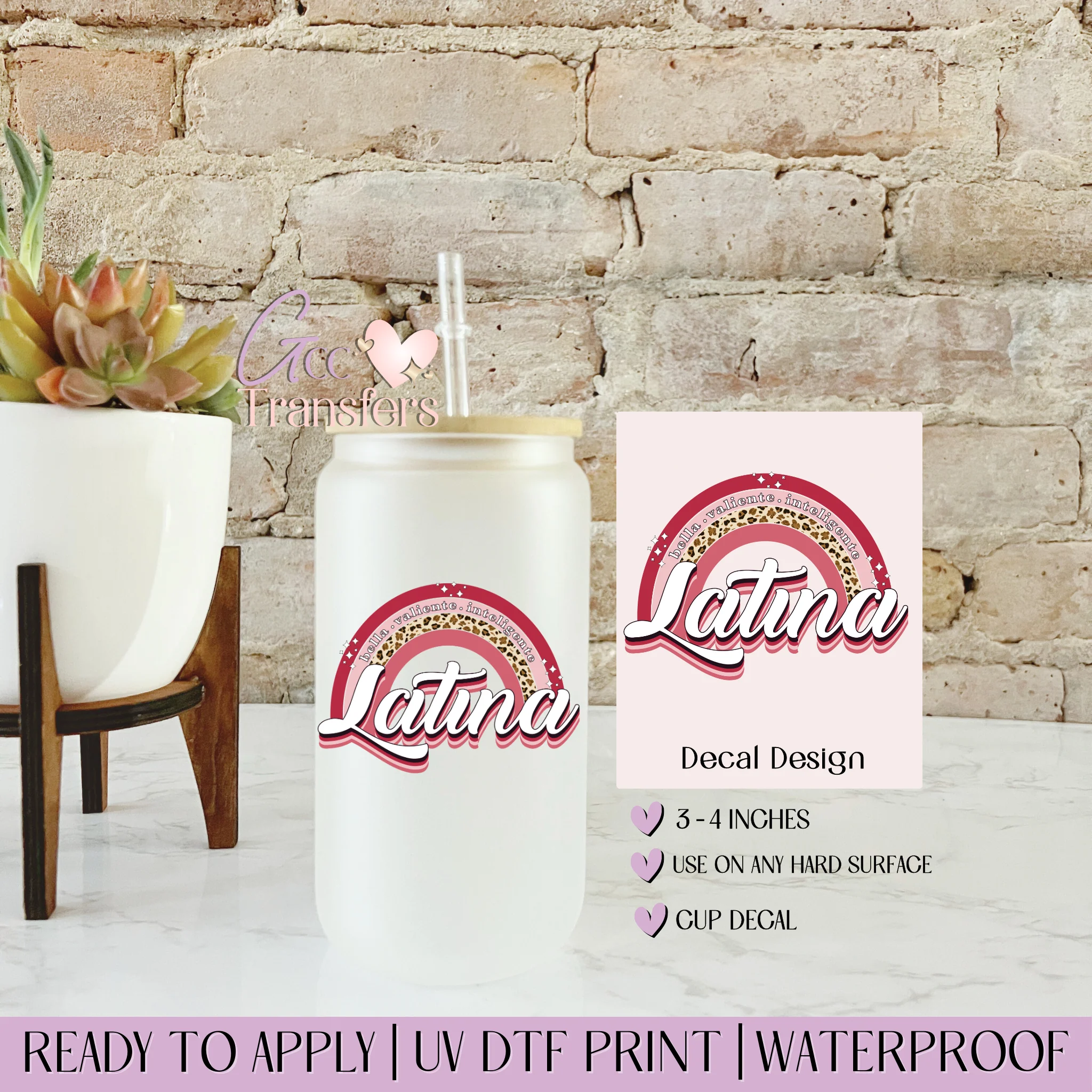 Latina Rainbow - CUP