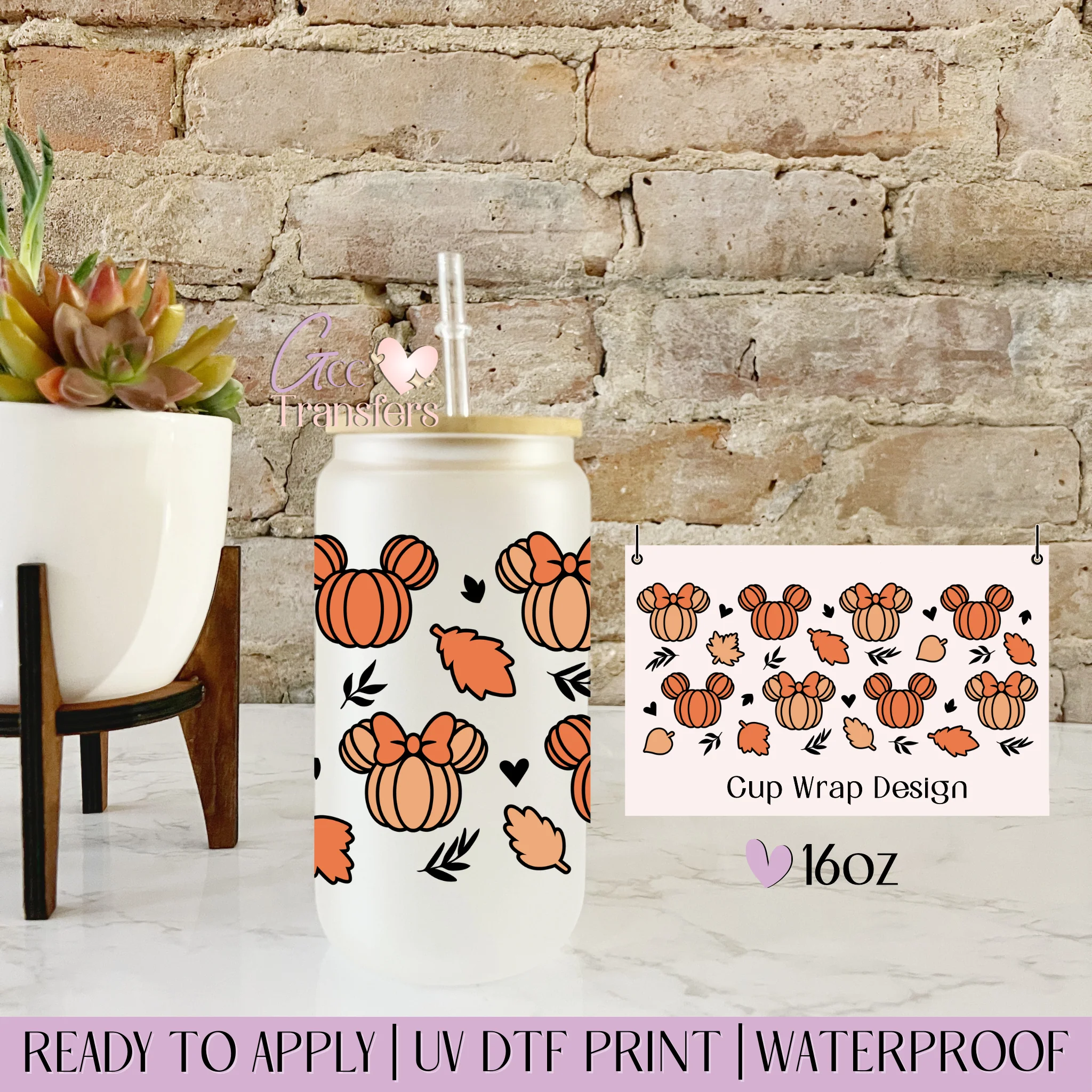 Mice Ears Falls- 16oz cup